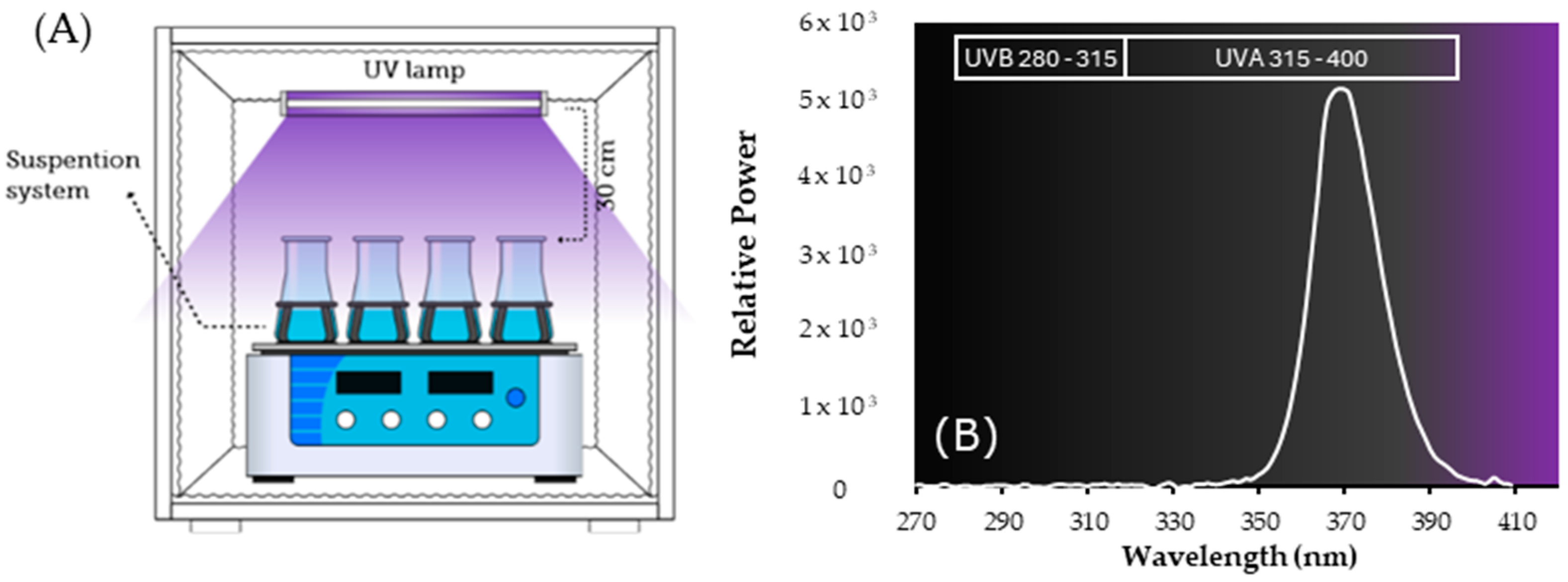 Nanomaterials 14 00299 g001