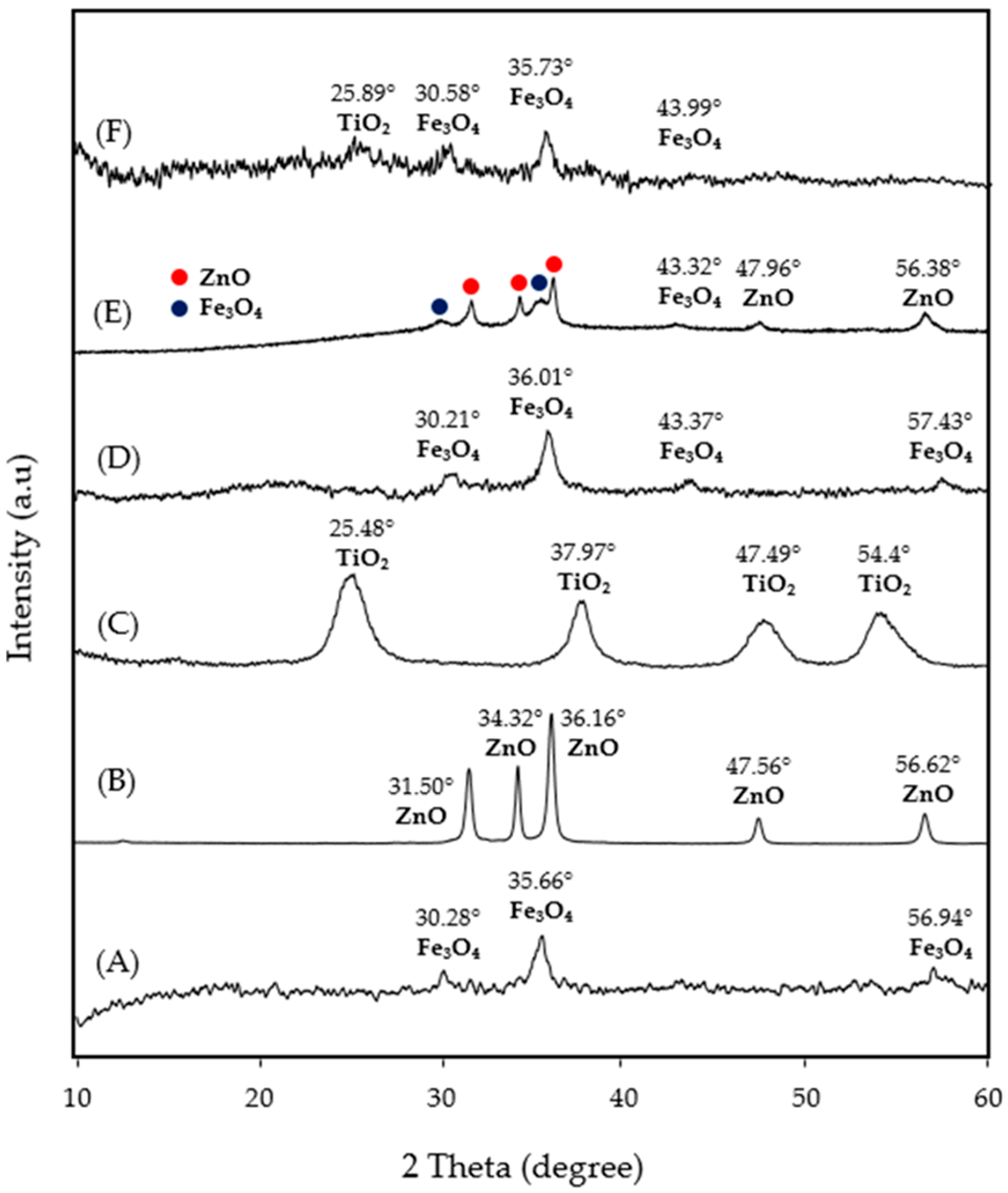Nanomaterials 14 00299 g002