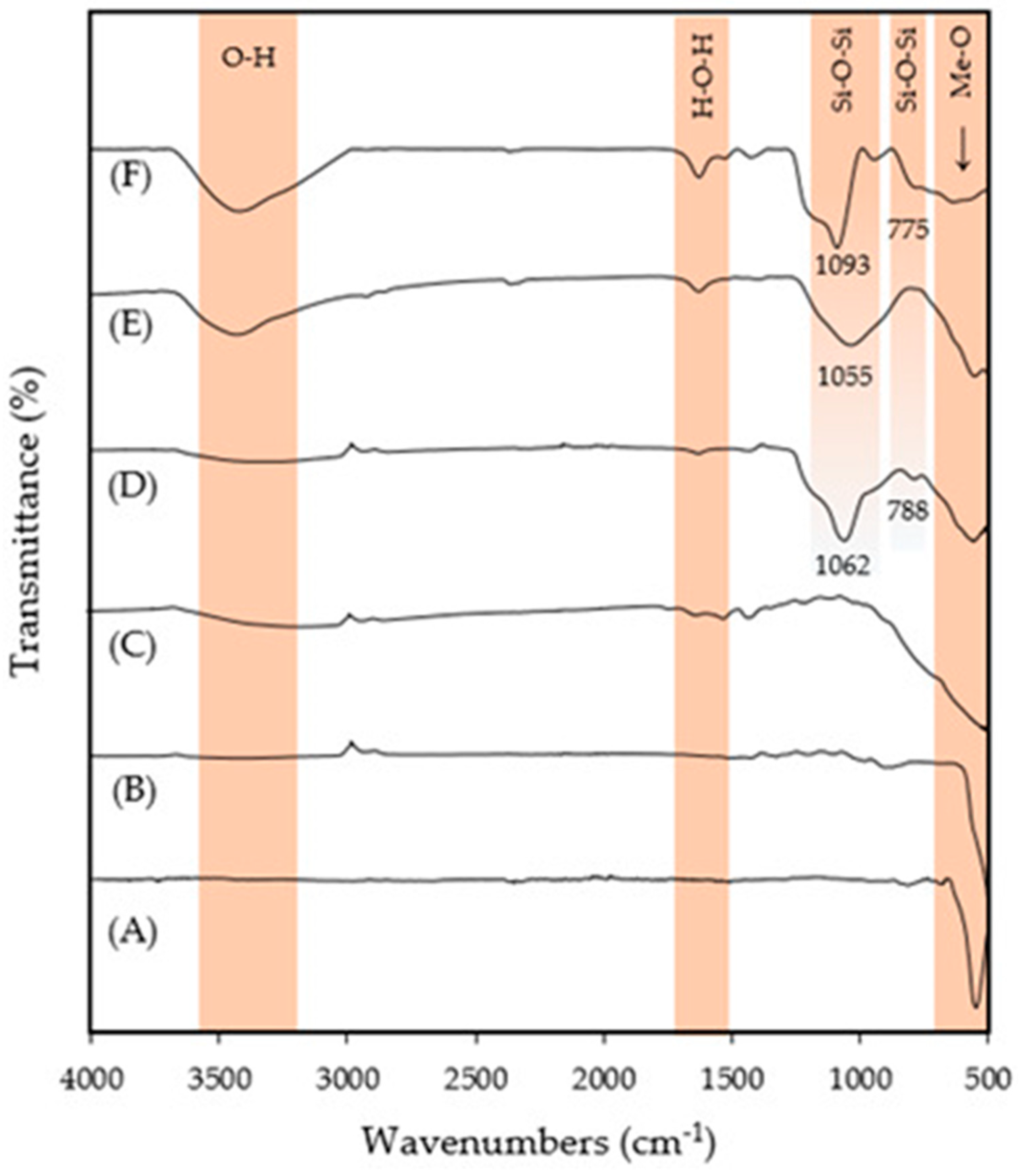 Nanomaterials 14 00299 g003