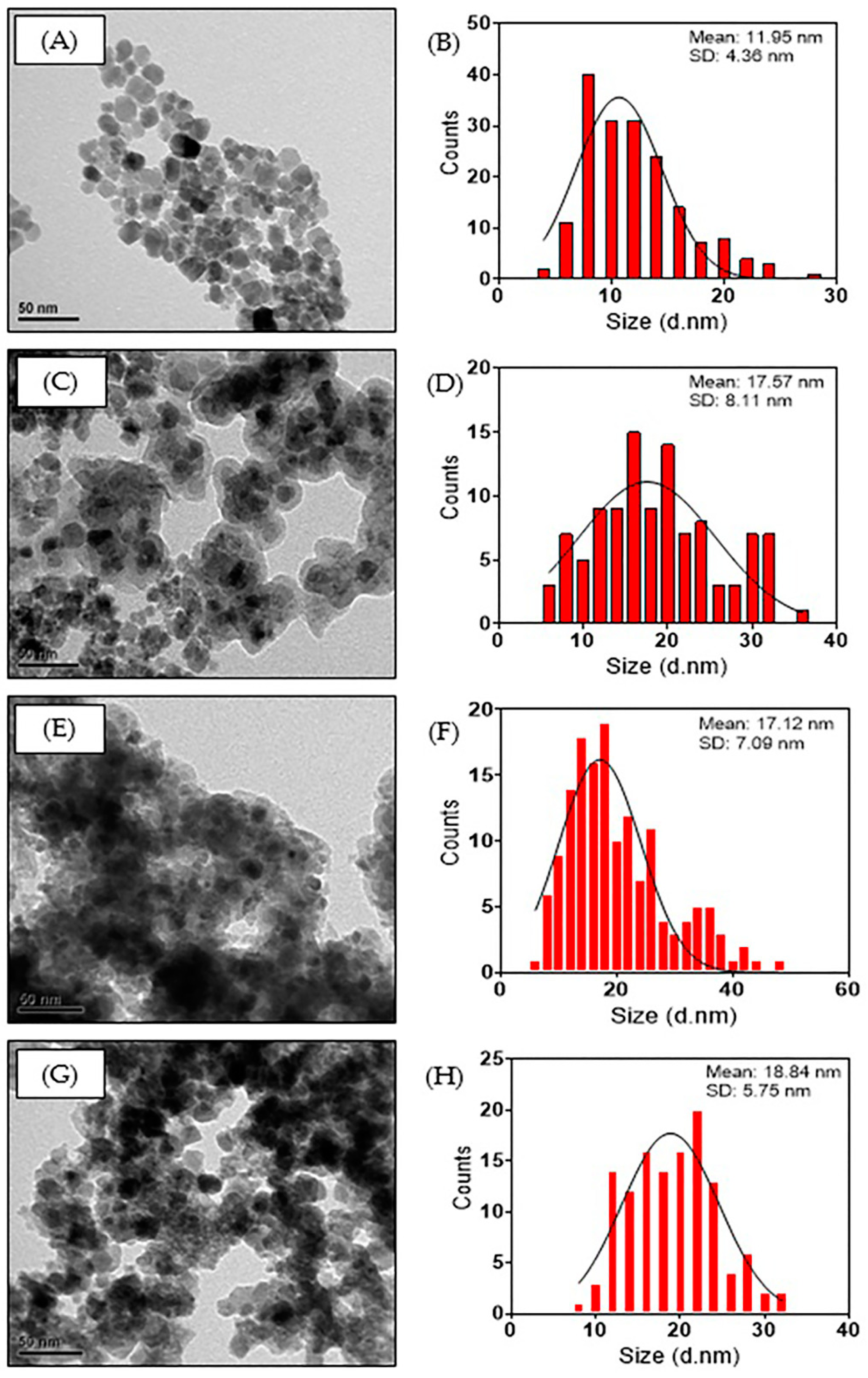 Nanomaterials 14 00299 g004