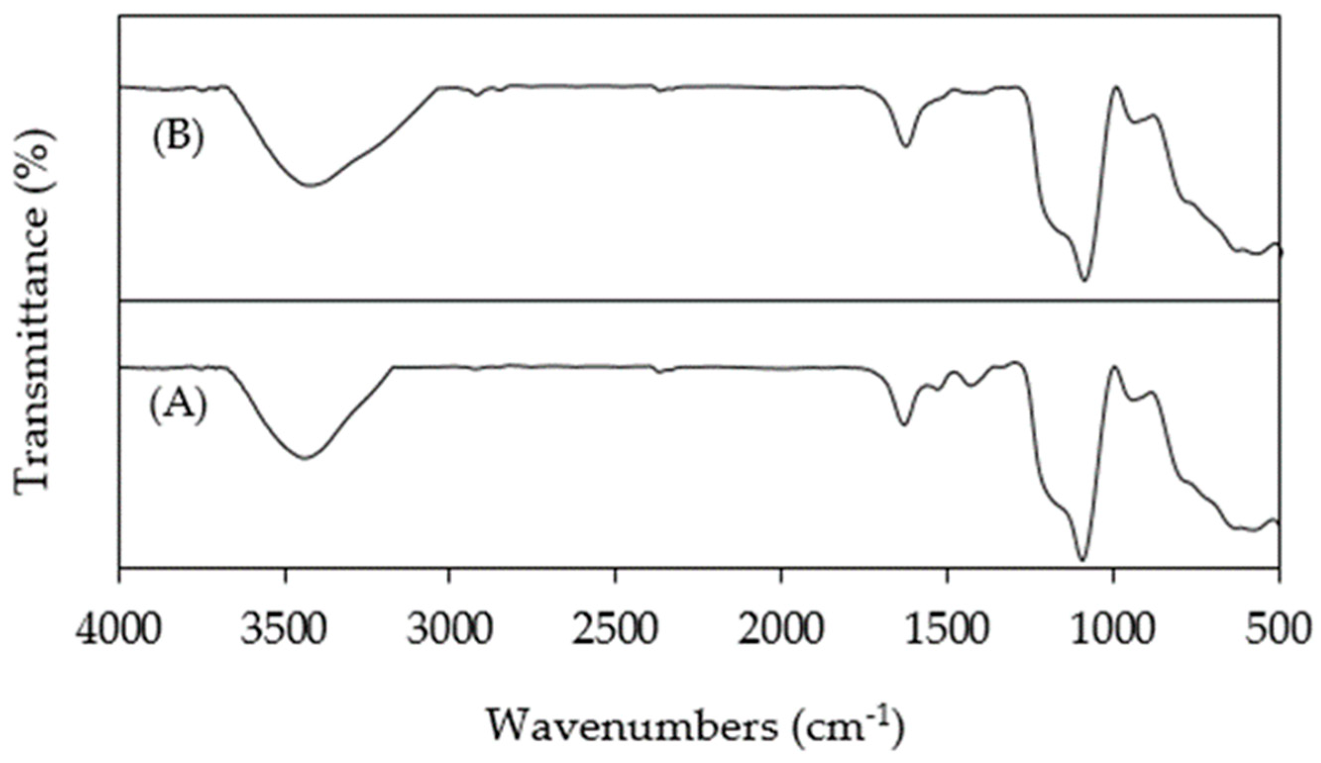 Nanomaterials 14 00299 g011