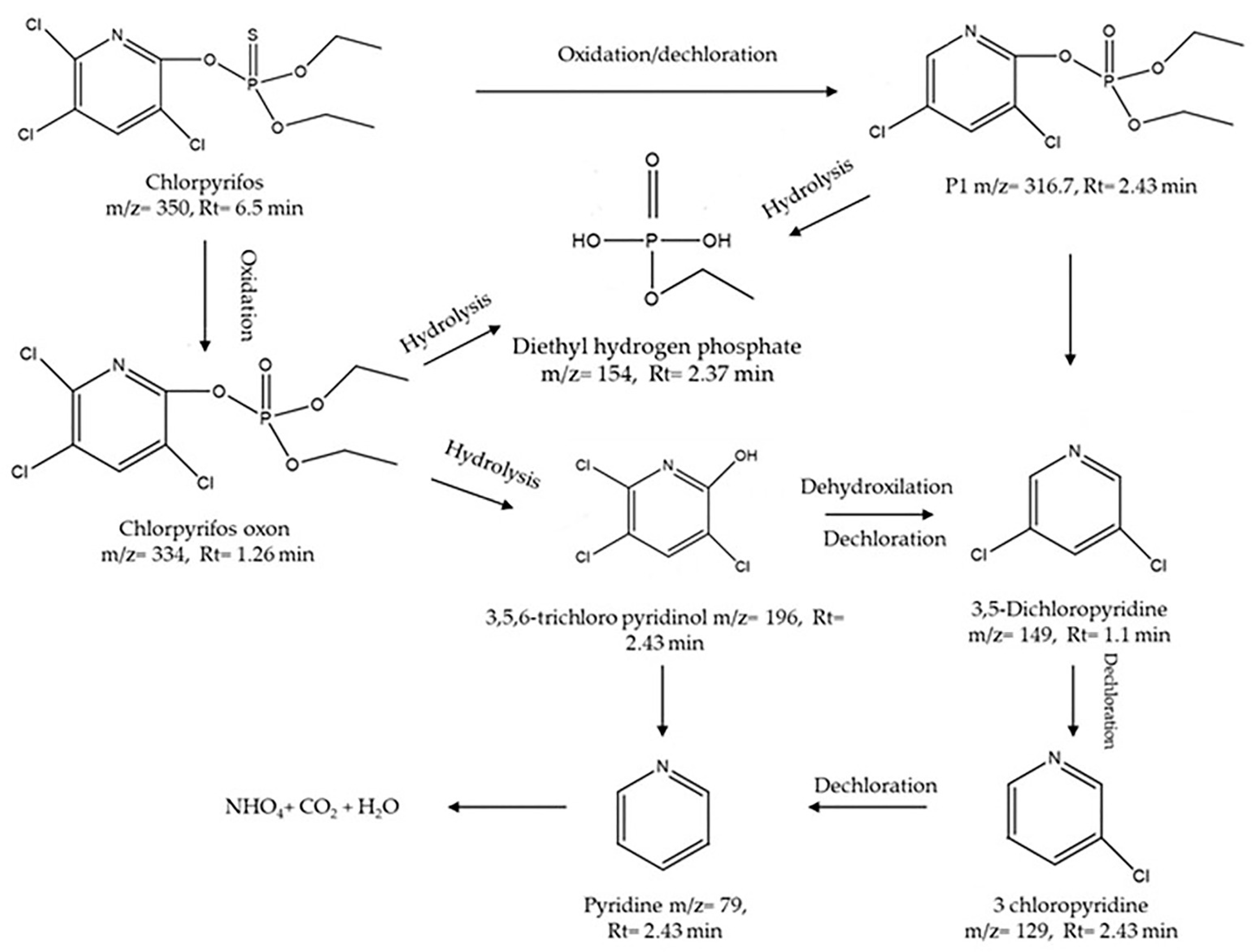 Nanomaterials 14 00299 g012