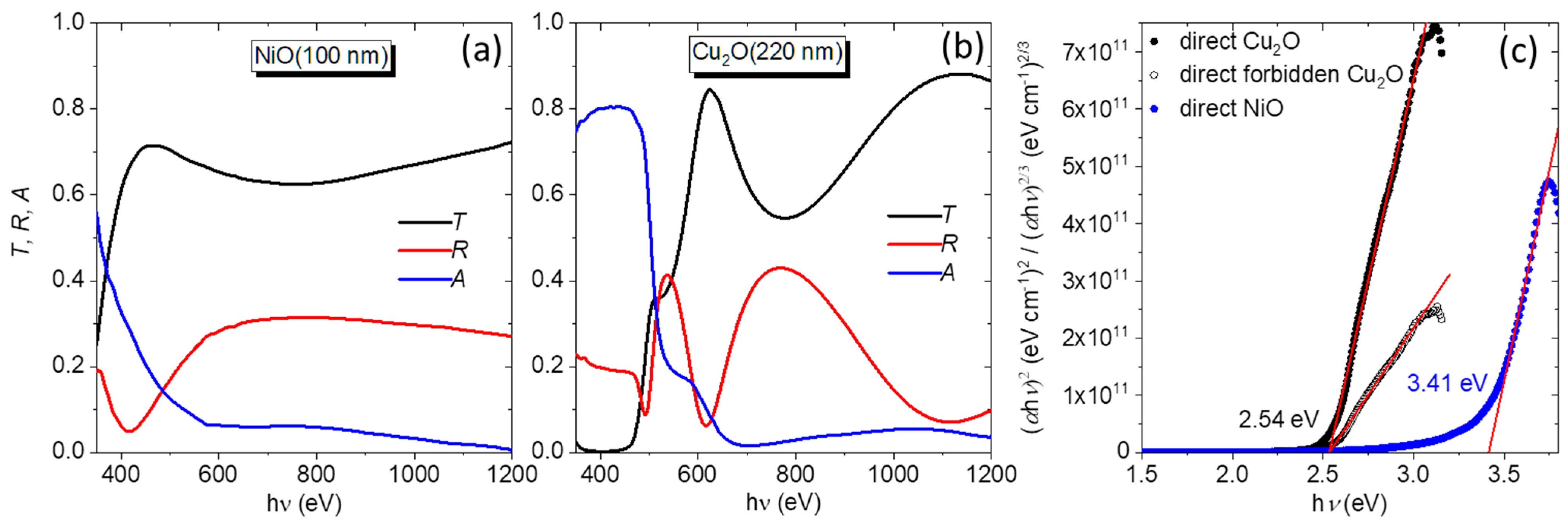 Nanomaterials 14 00300 g006
