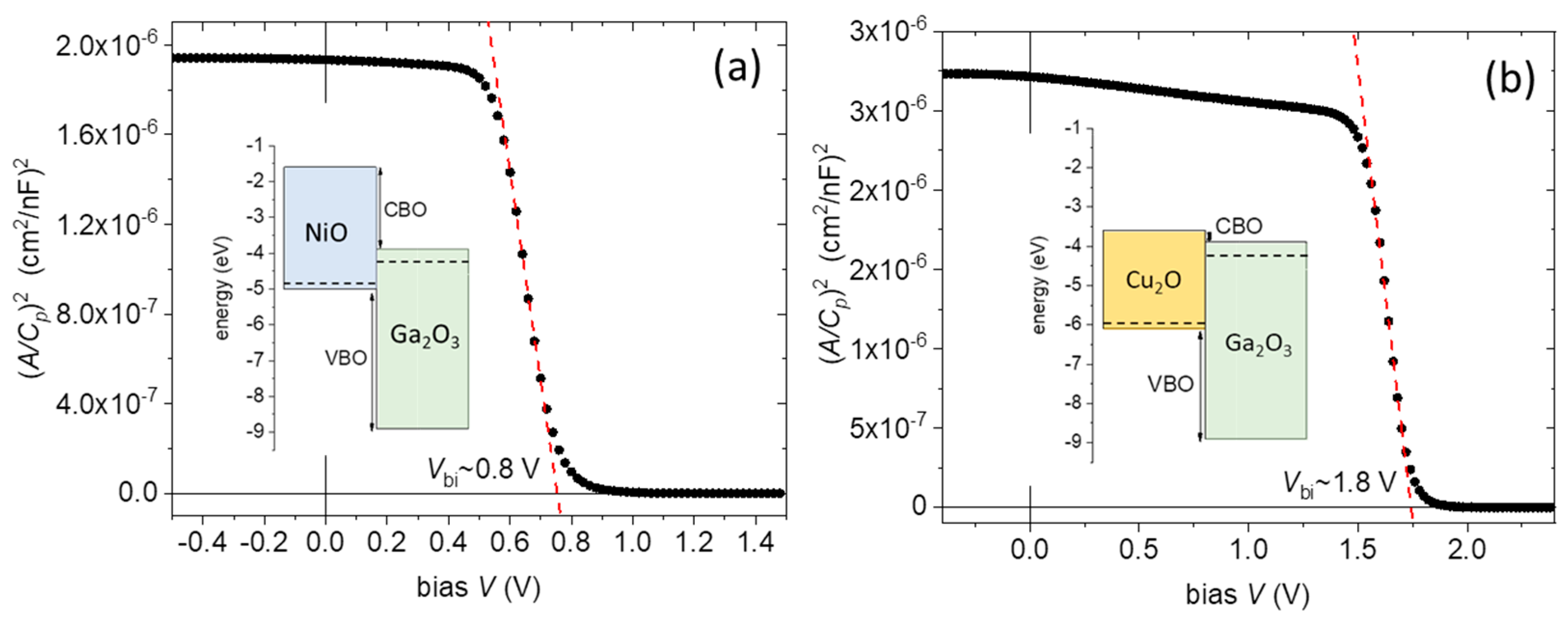 Nanomaterials 14 00300 g010