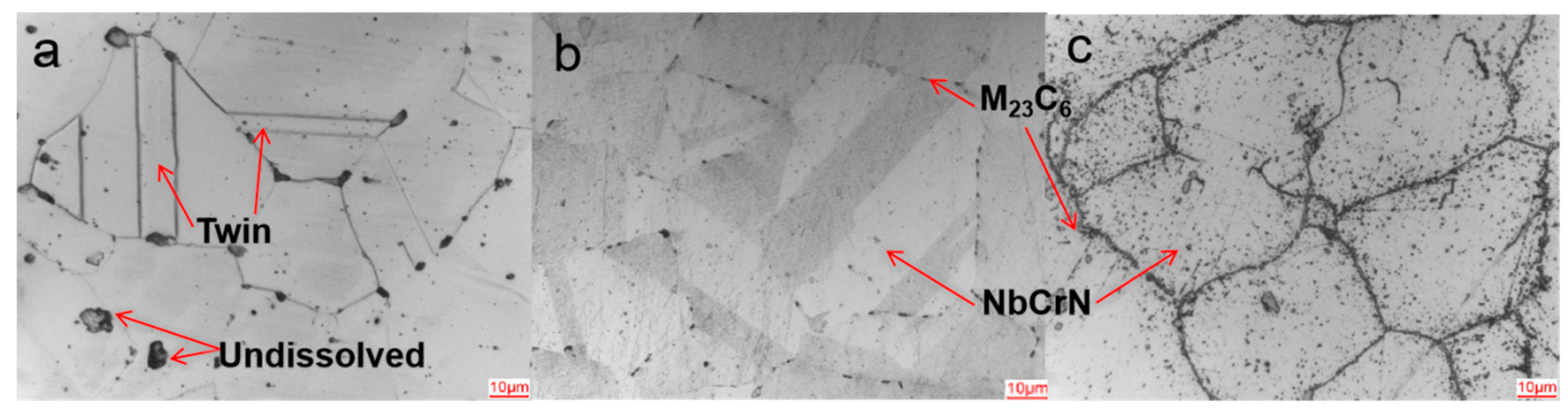 Nanomaterials 14 00306 g001