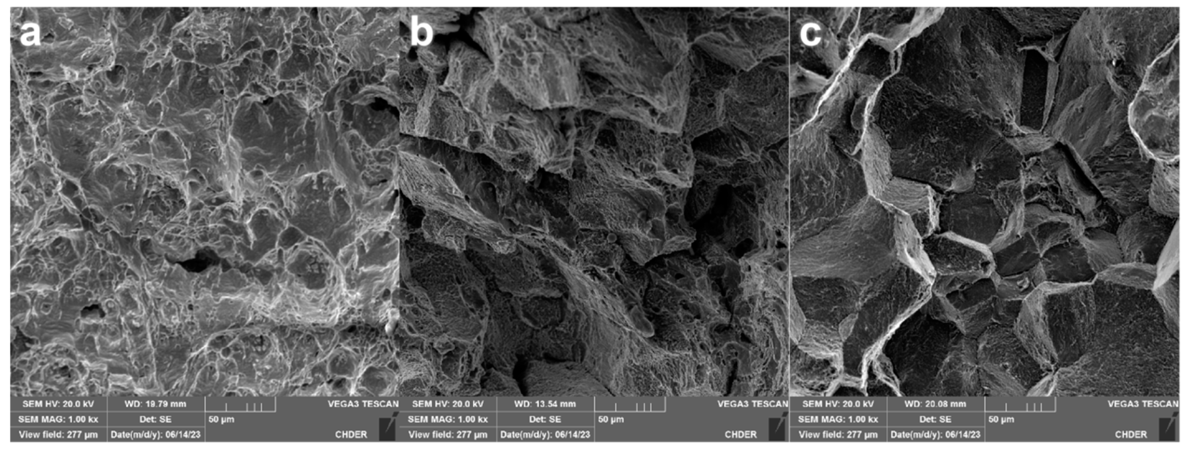 Nanomaterials 14 00306 g003