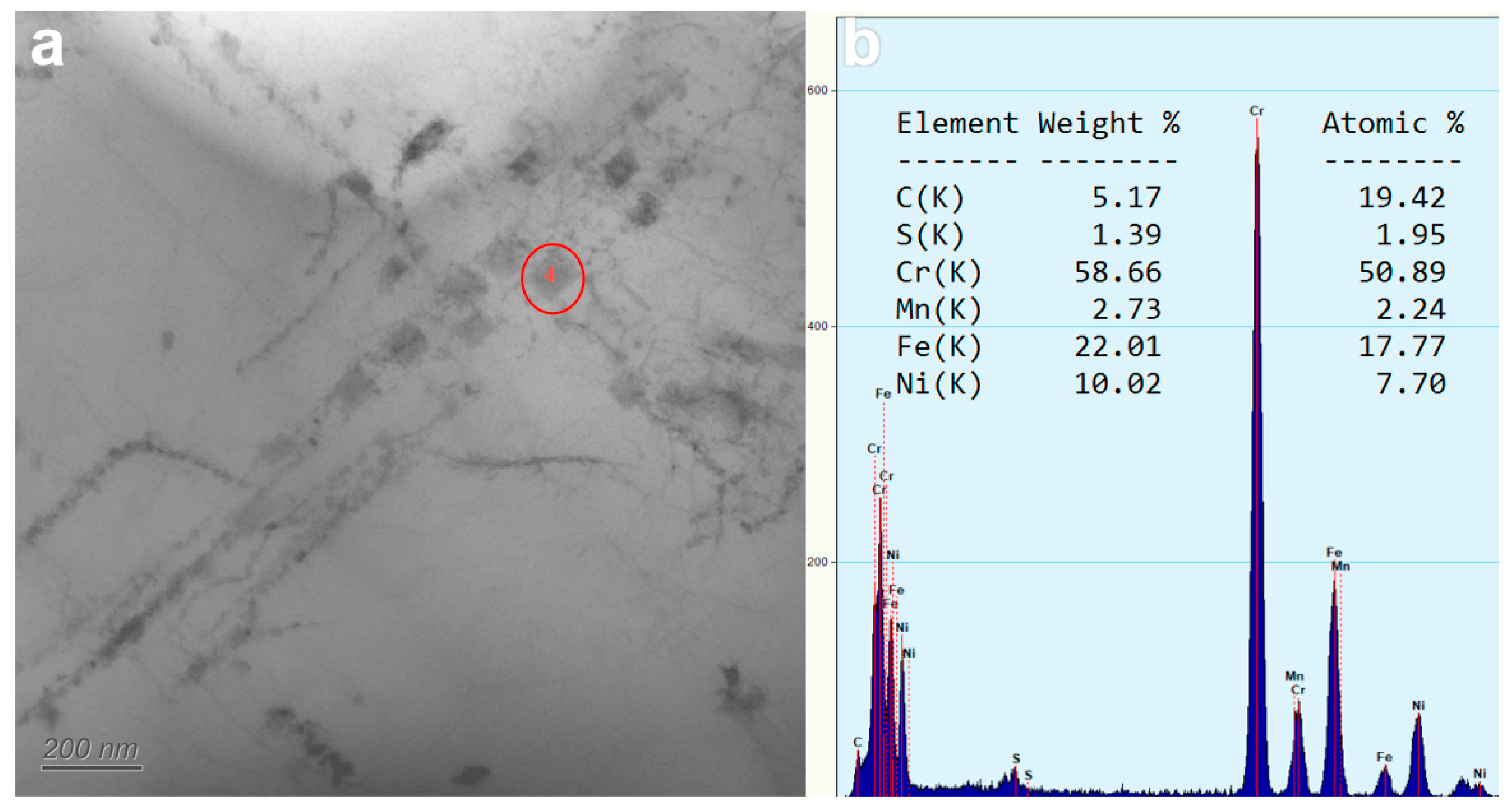 Nanomaterials 14 00306 g007
