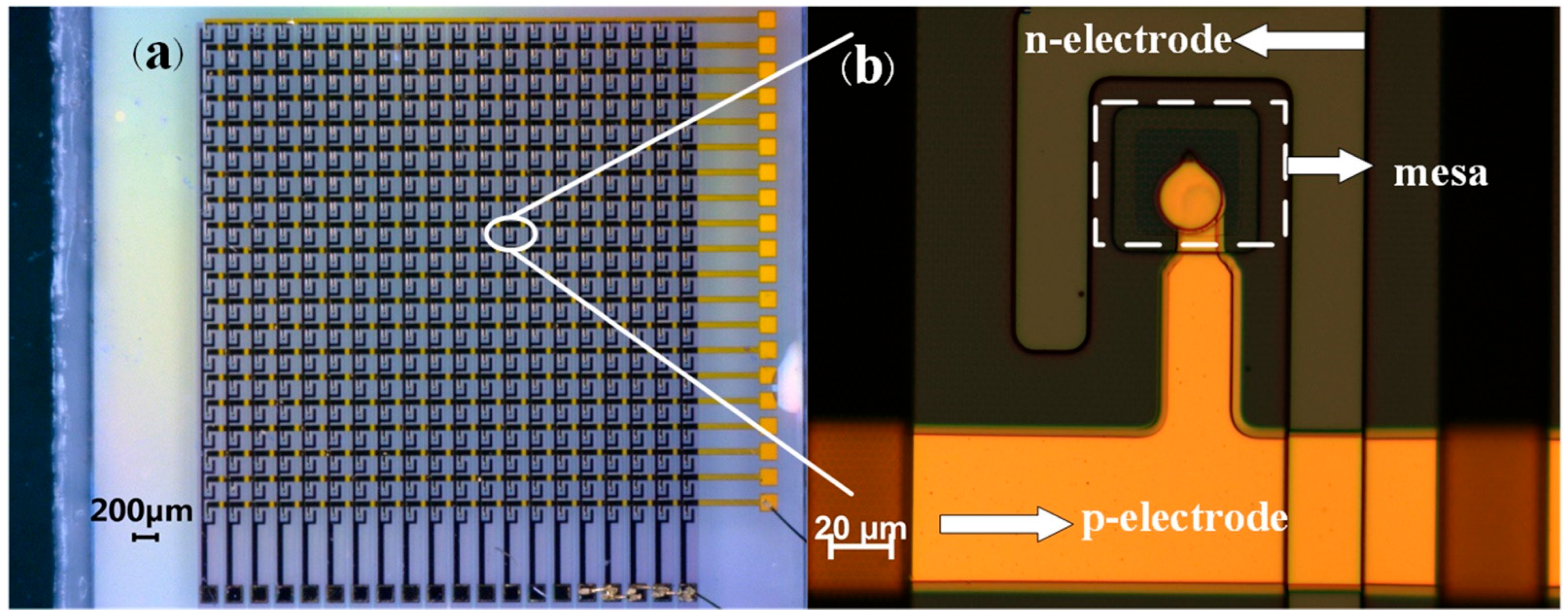 Nanomaterials 14 00307 g003