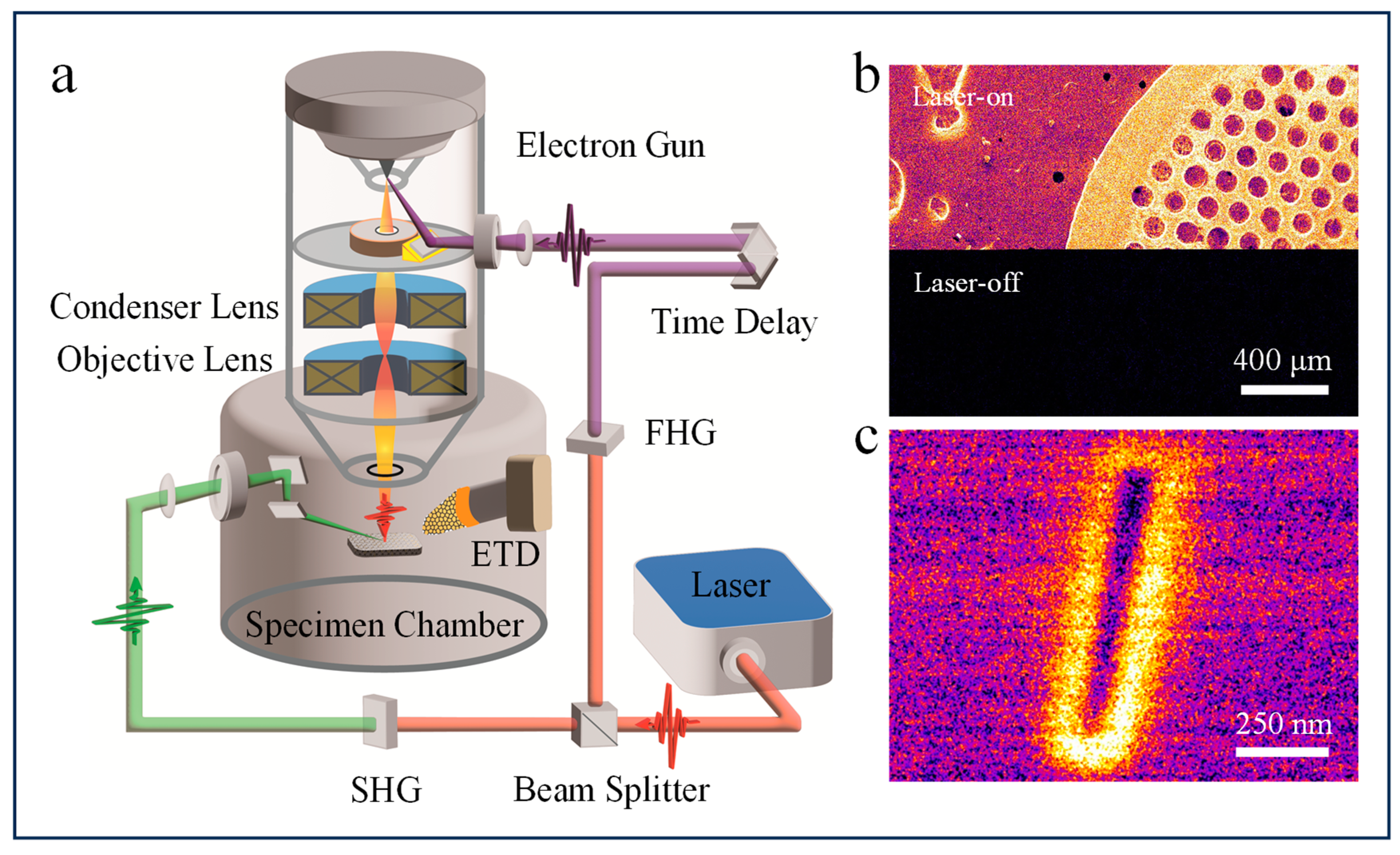 Nanomaterials 14 00310 g001