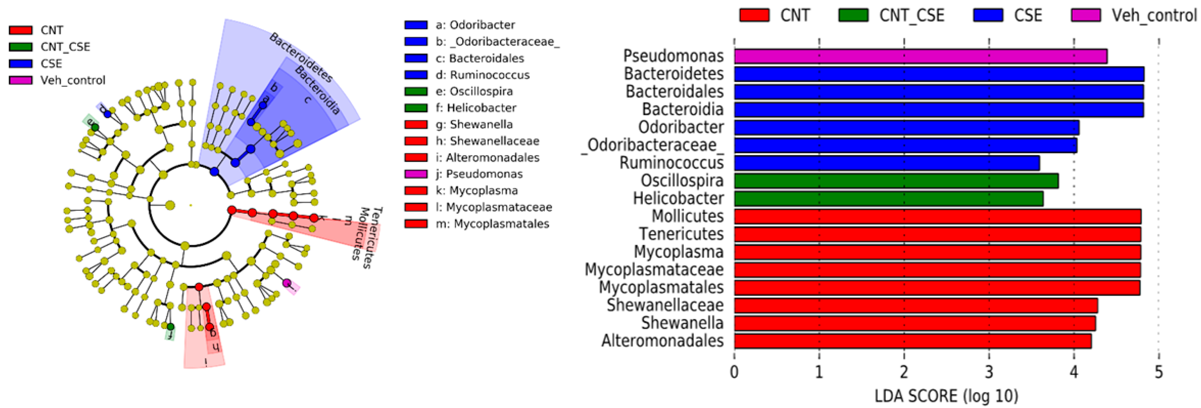 Nanomaterials 14 00314 g002 Nanomaterials 14 00314 g002