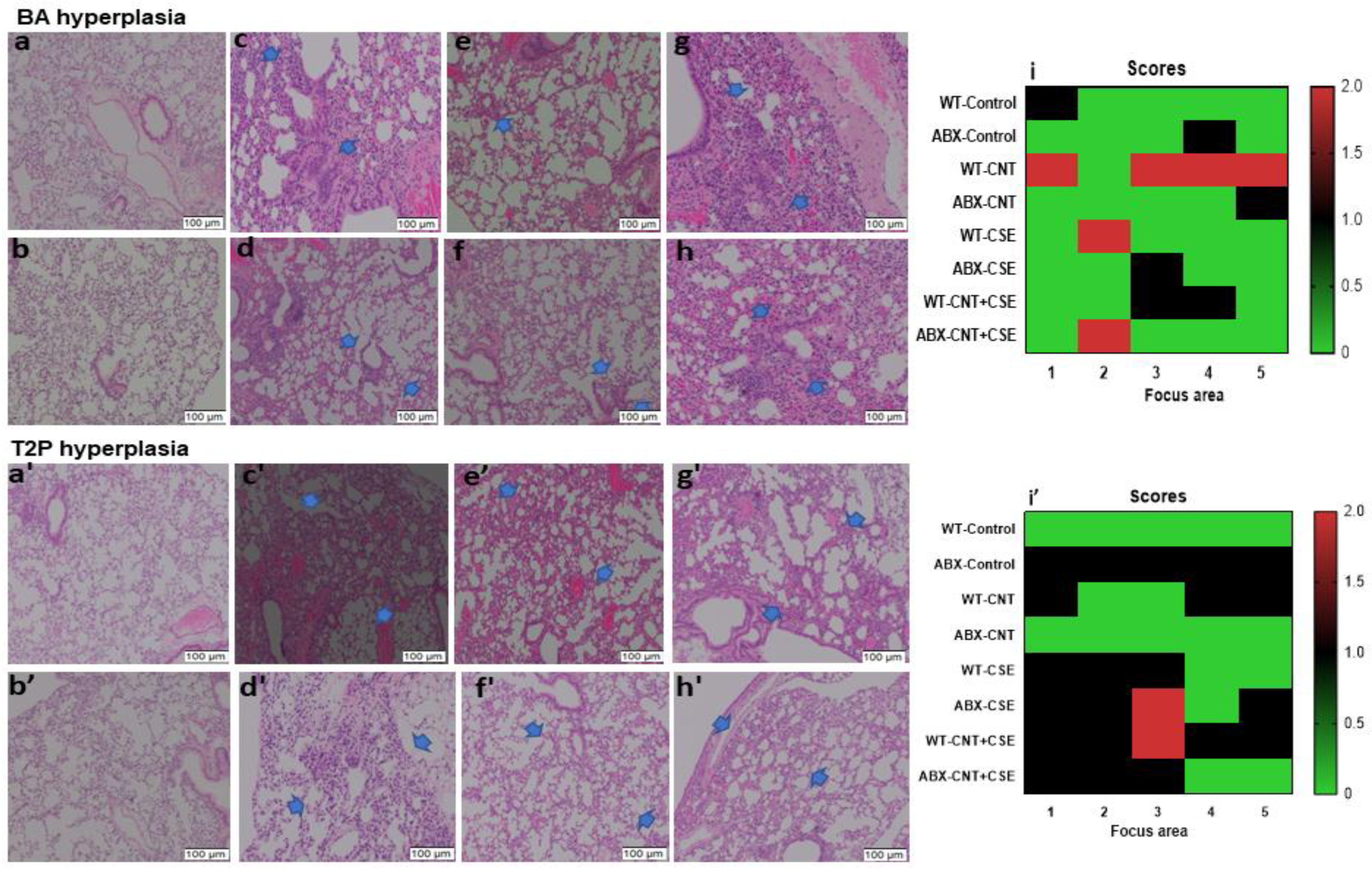 Nanomaterials 14 00314 g006 Nanomaterials 14 00314 g006