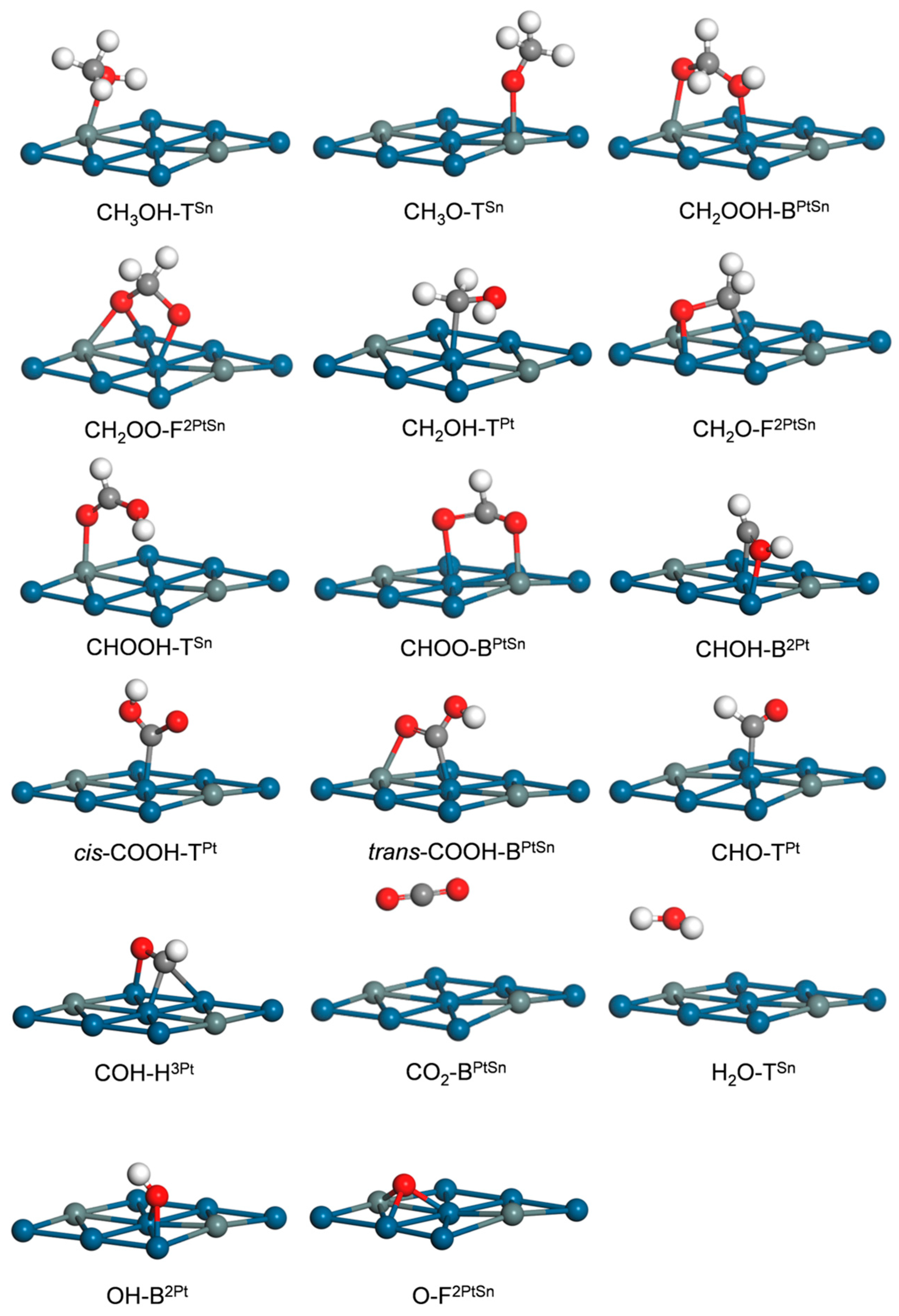 Nanomaterials 14 00318 g002