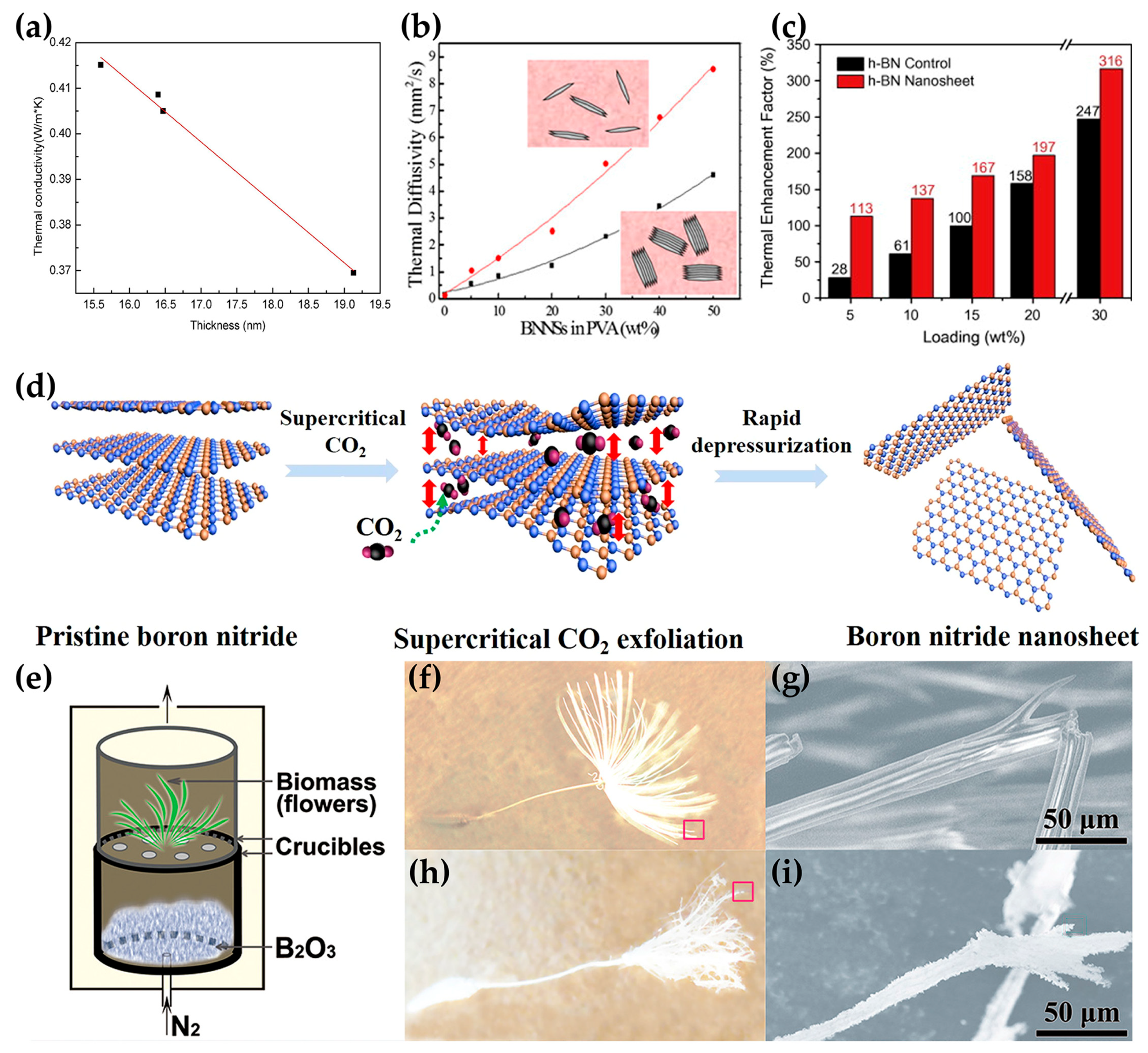 Nanomaterials 14 00331 g004