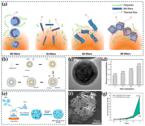 Nanomaterials 14 00331 g008