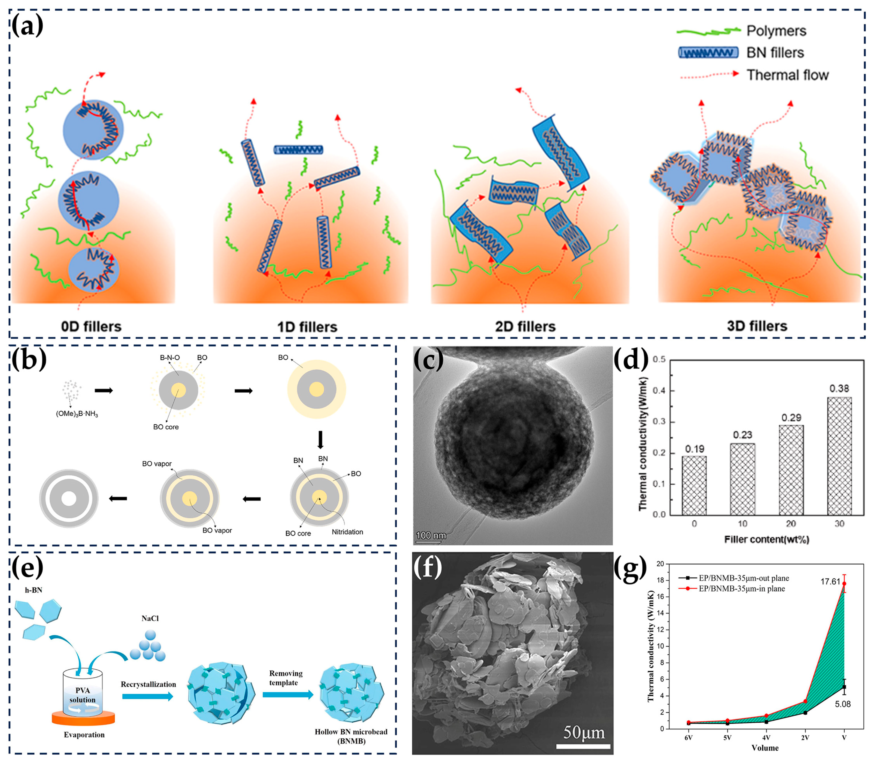 Nanomaterials 14 00331 g008