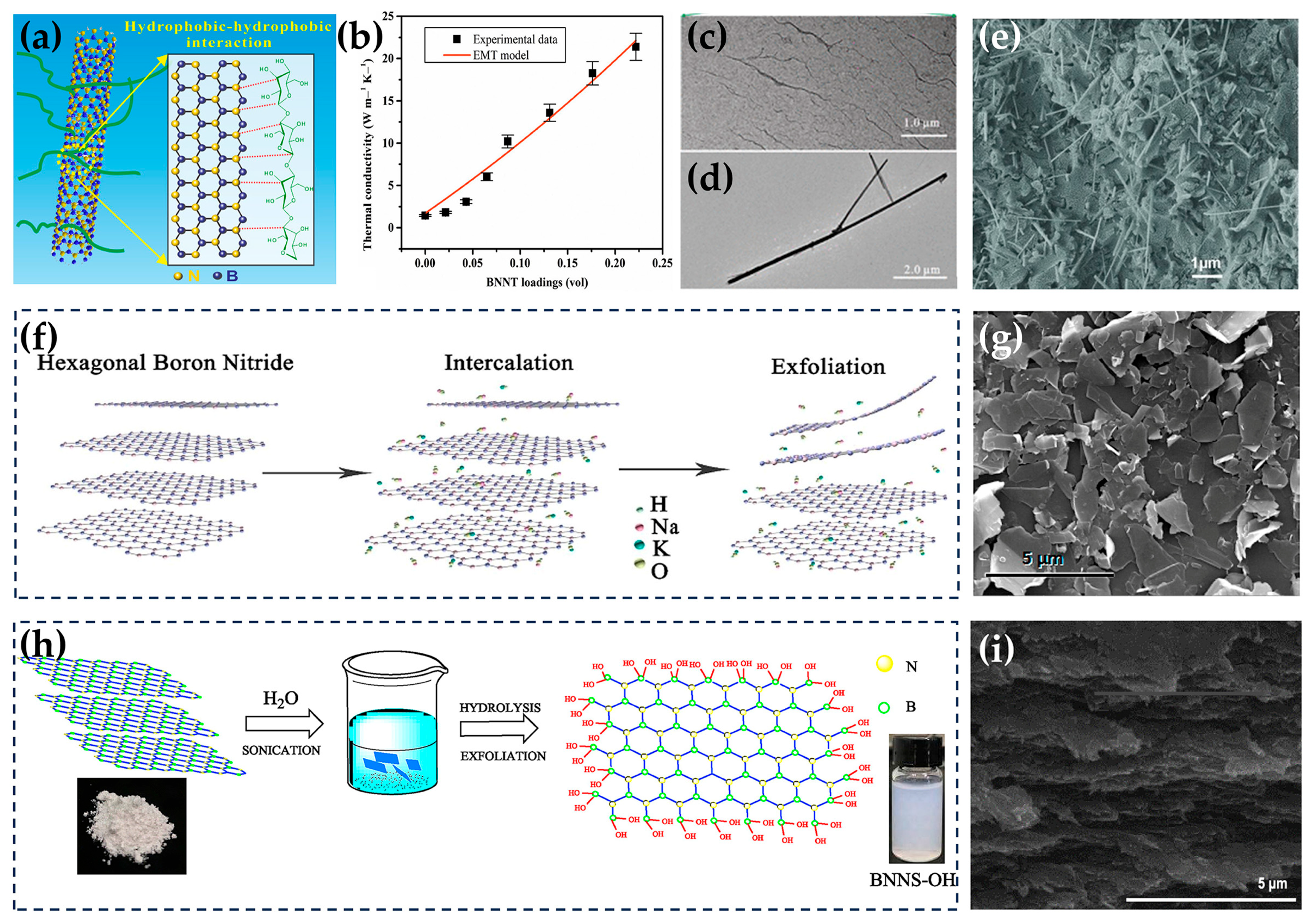 Nanomaterials 14 00331 g009