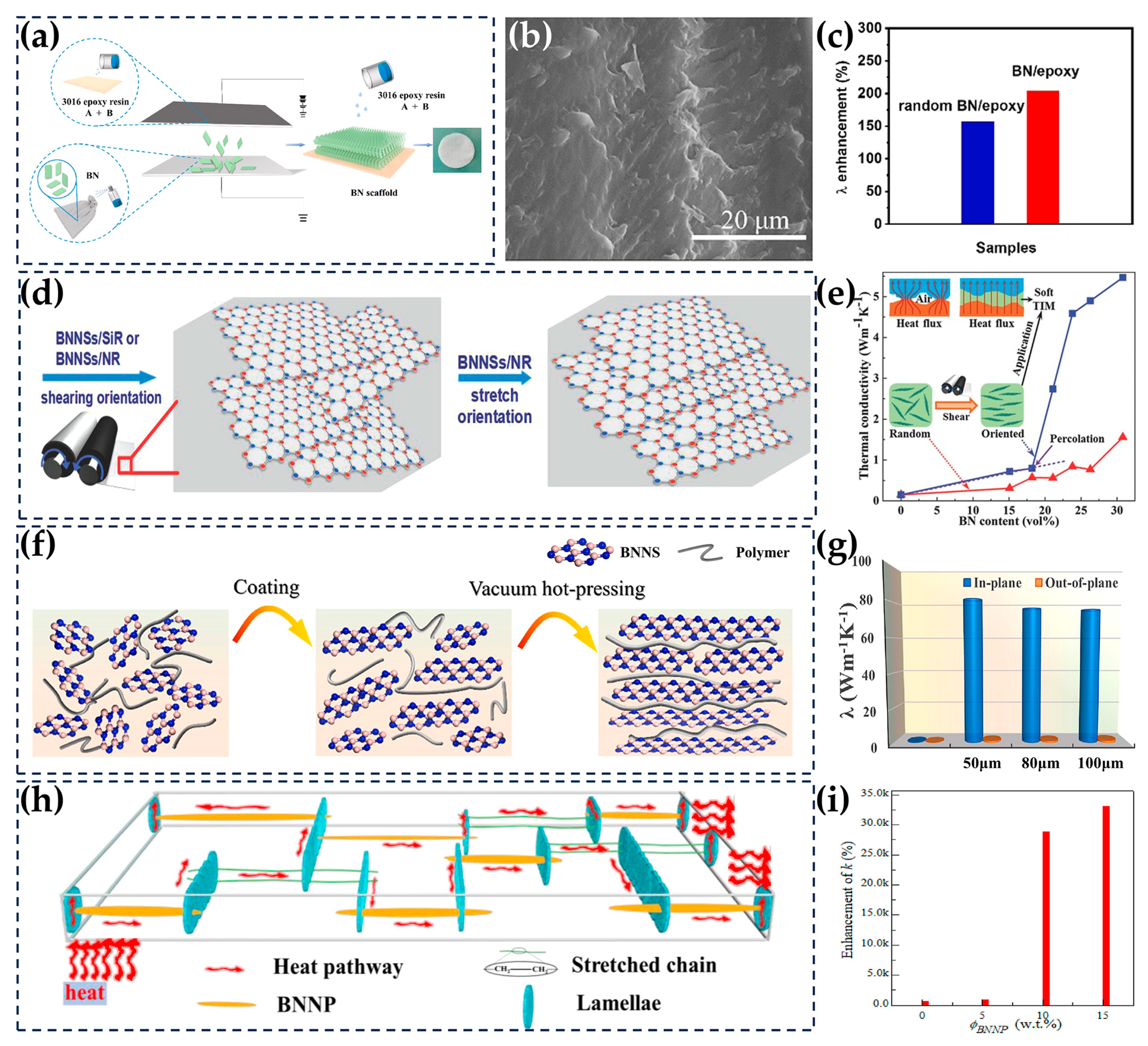 Nanomaterials 14 00331 g010