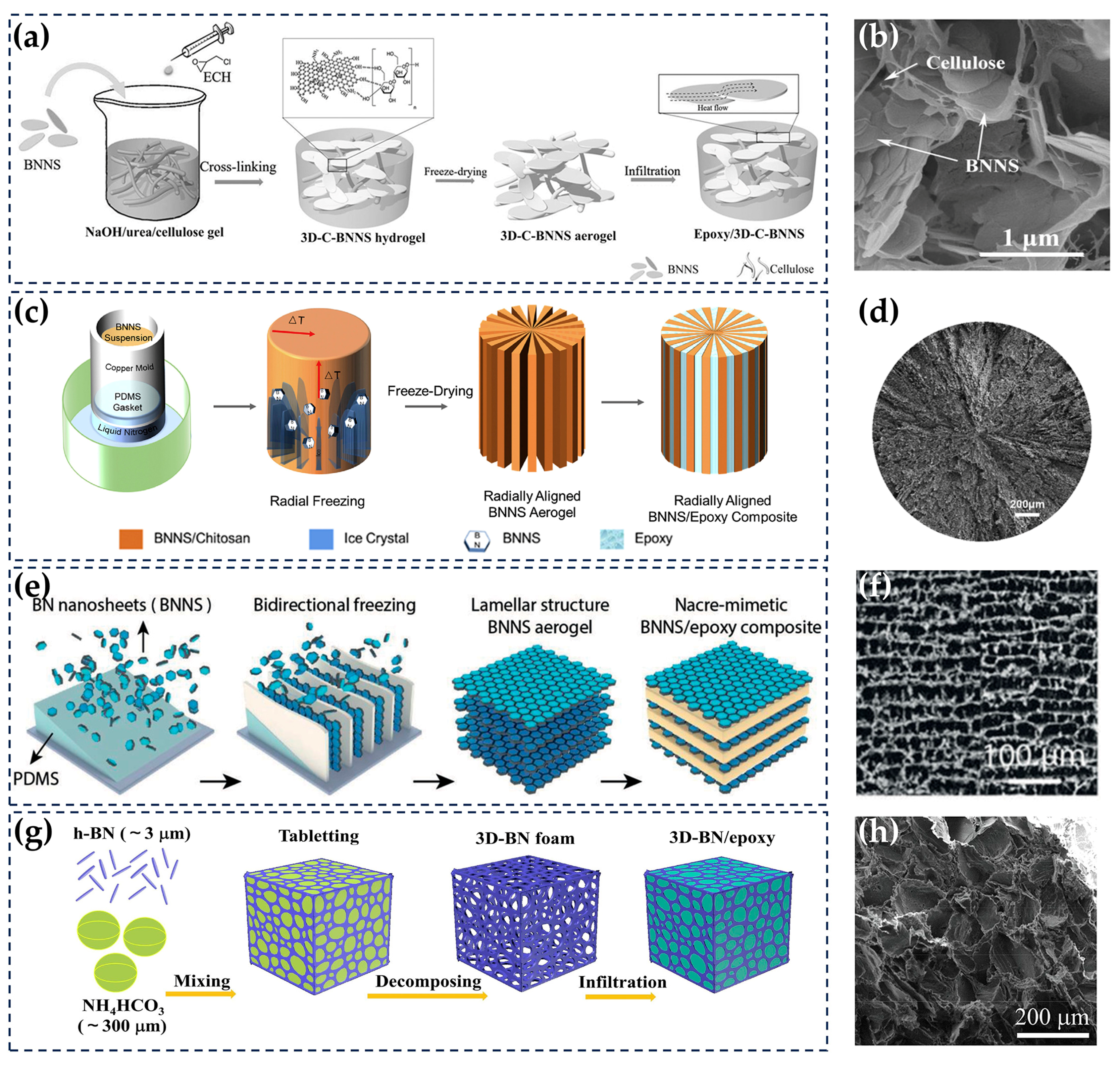 Nanomaterials 14 00331 g011