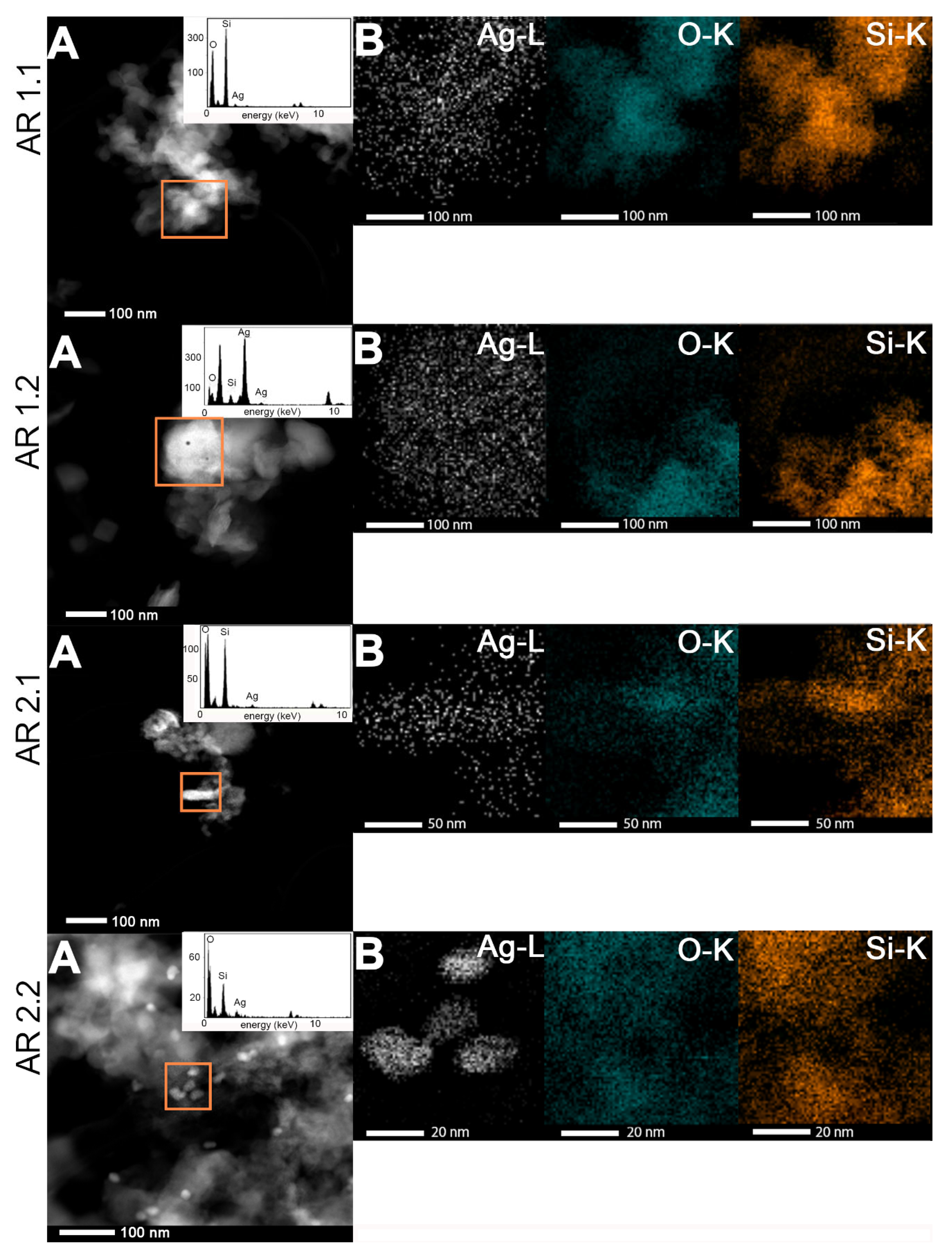 Nanomaterials 14 00337 g005
