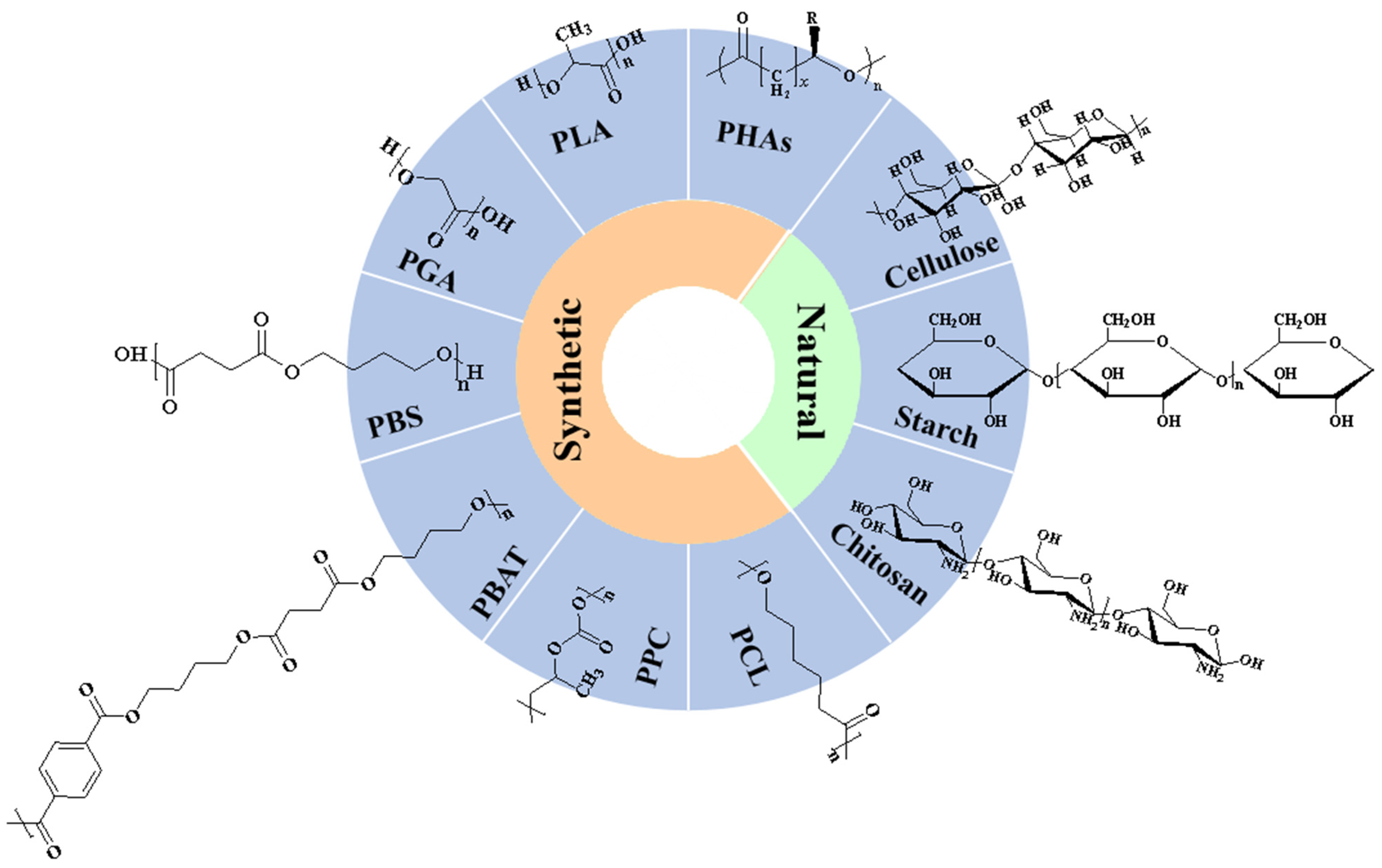 Nanomaterials 14 00338 g006