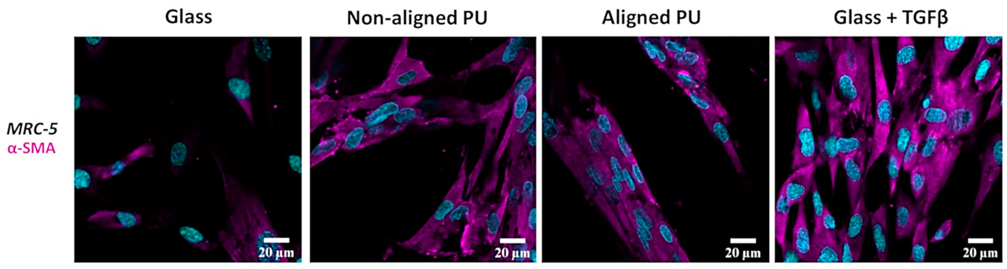 Nanomaterials 14 00342 g006
