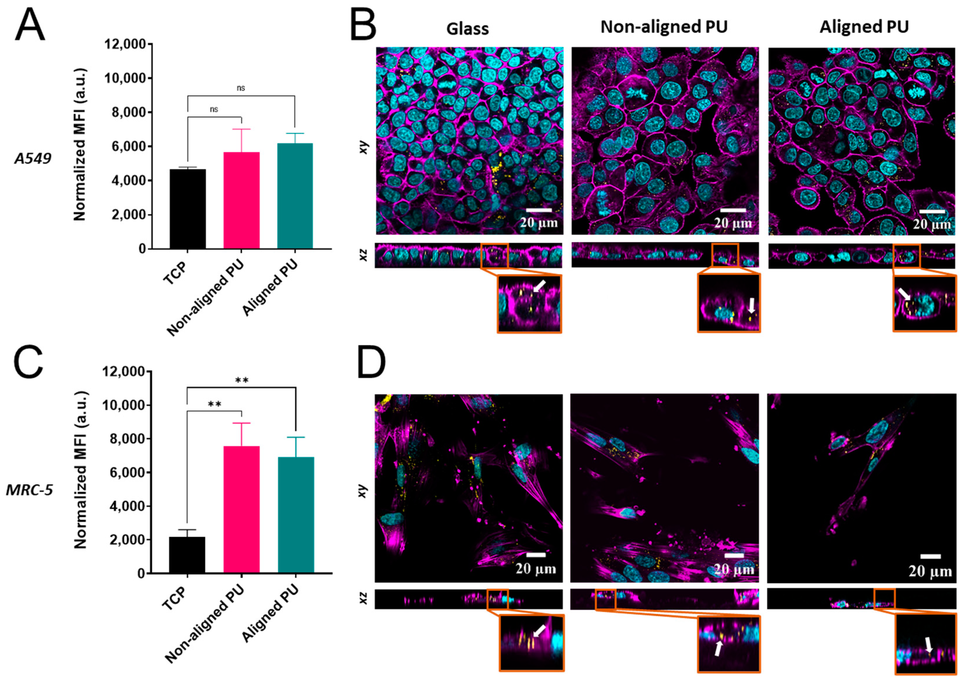 Nanomaterials 14 00342 g007