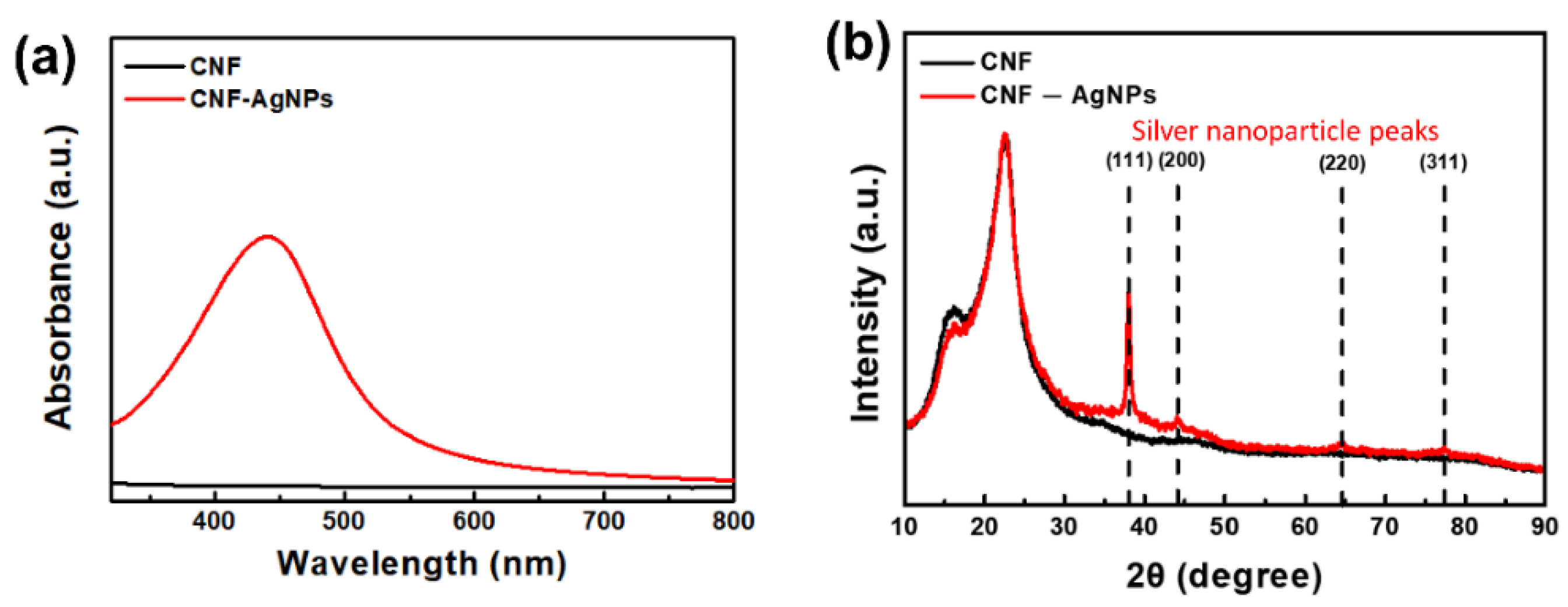 Nanomaterials 14 00343 g004
