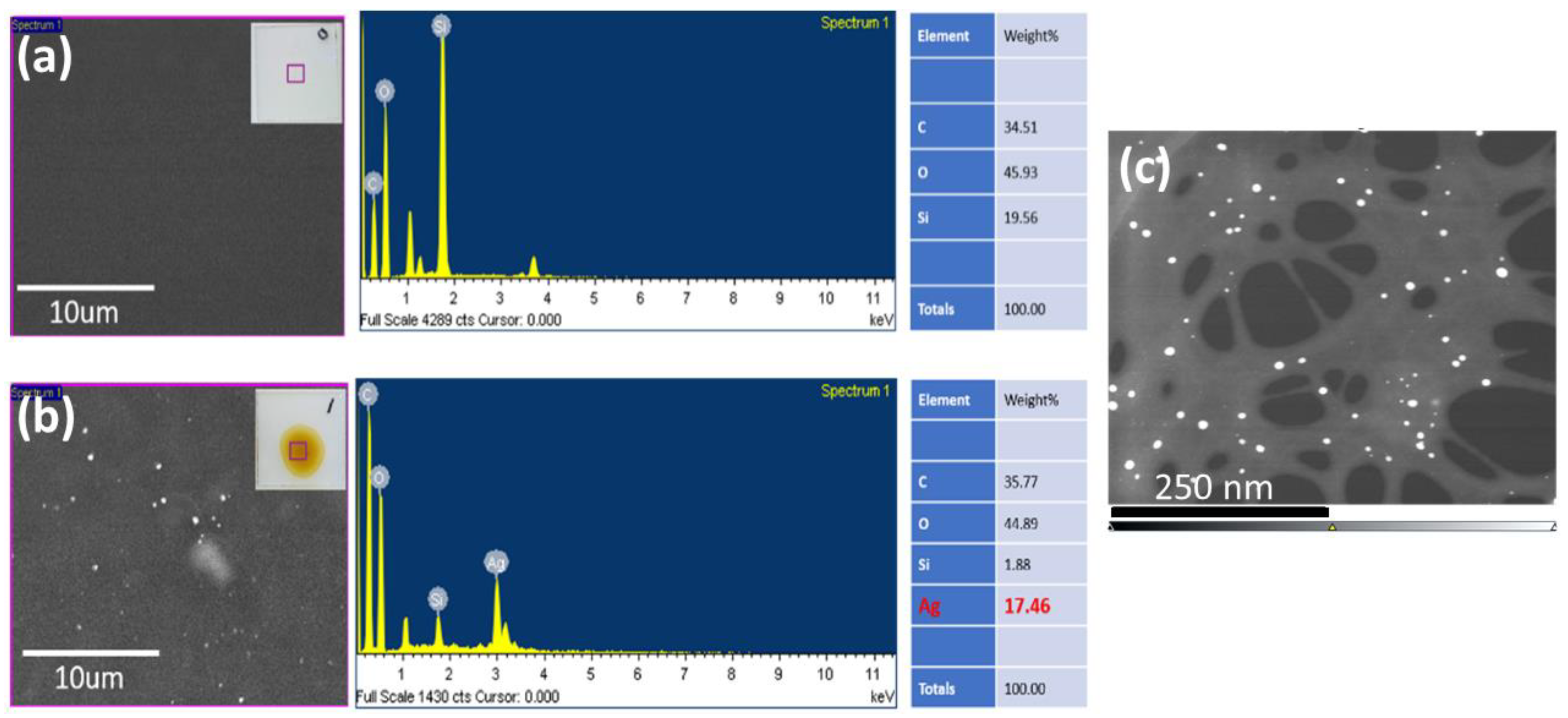Nanomaterials 14 00343 g005