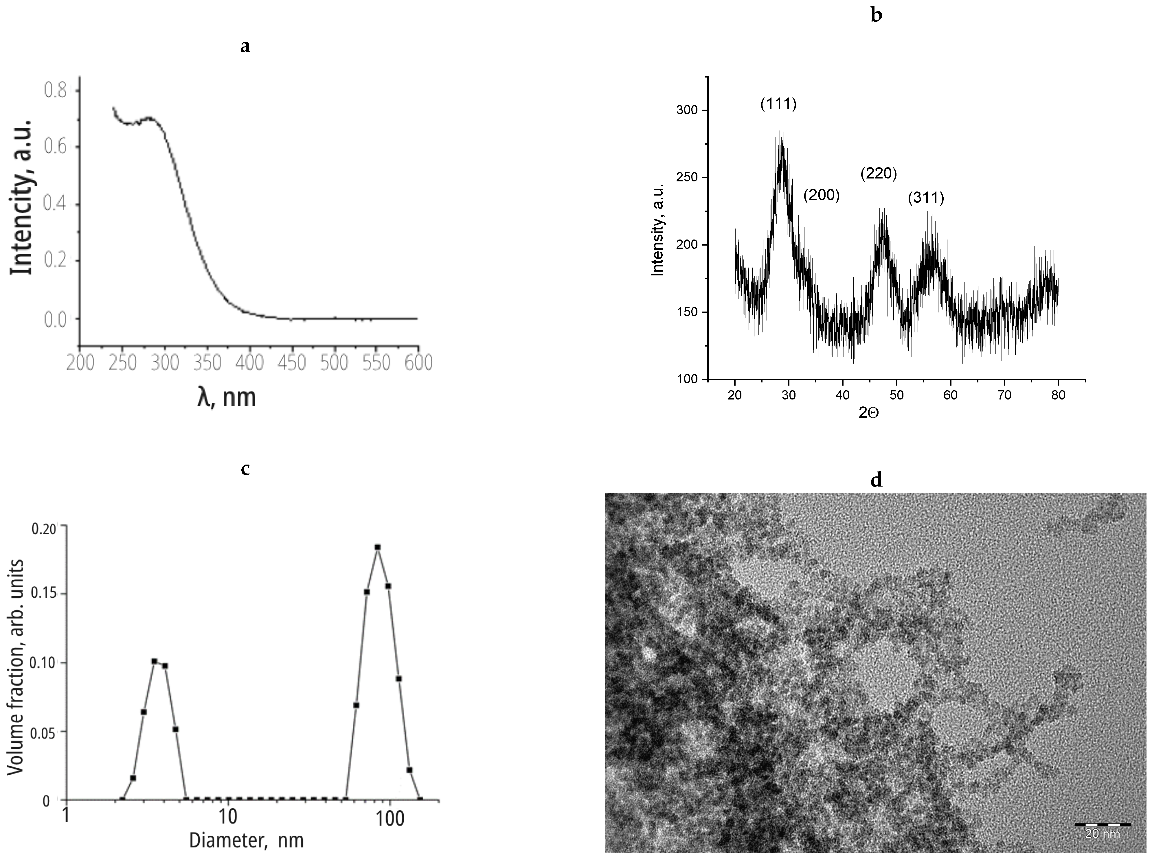 Nanomaterials 14 00354 g001
