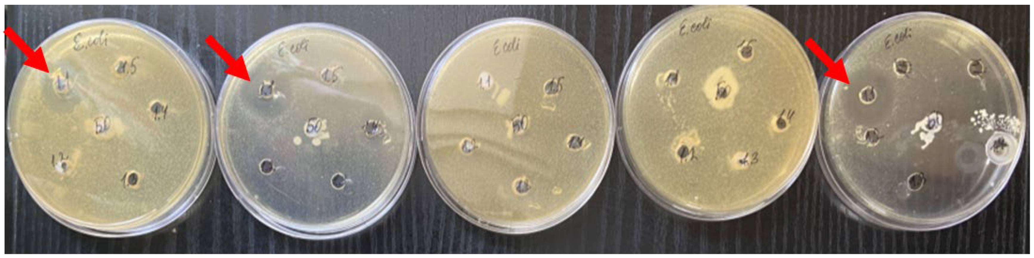Nanomaterials 14 00354 g004
