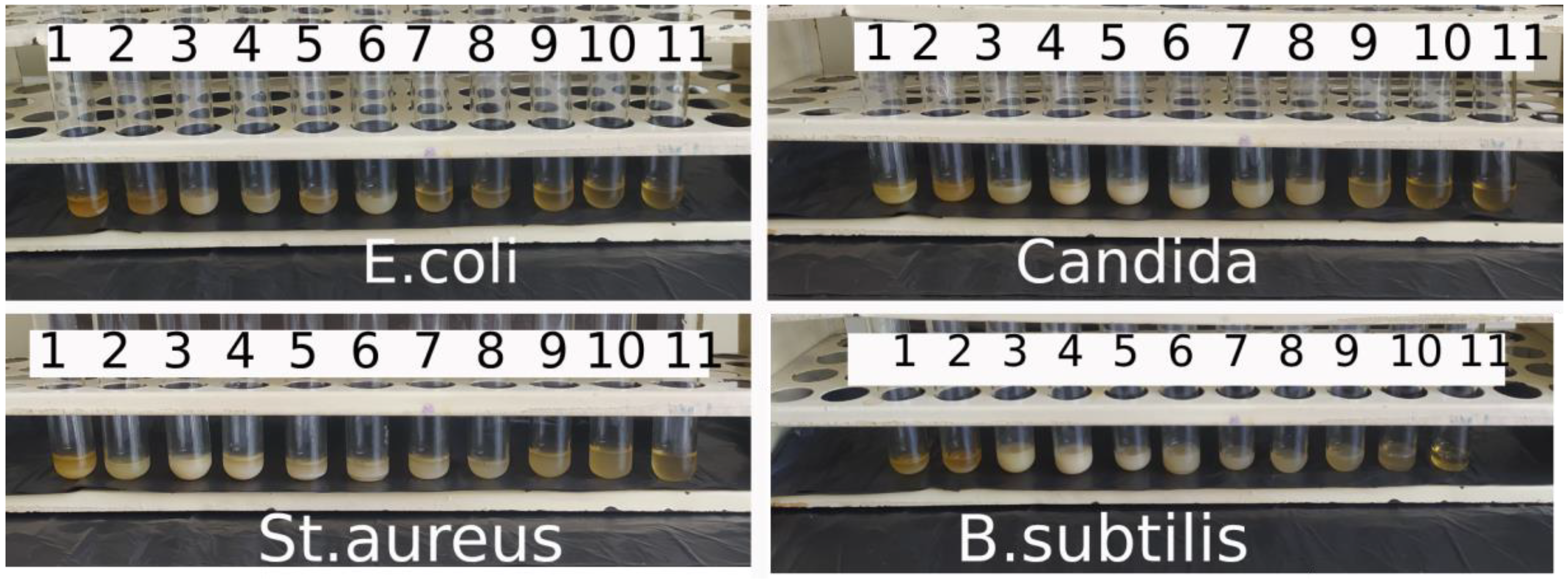 Nanomaterials 14 00354 g005
