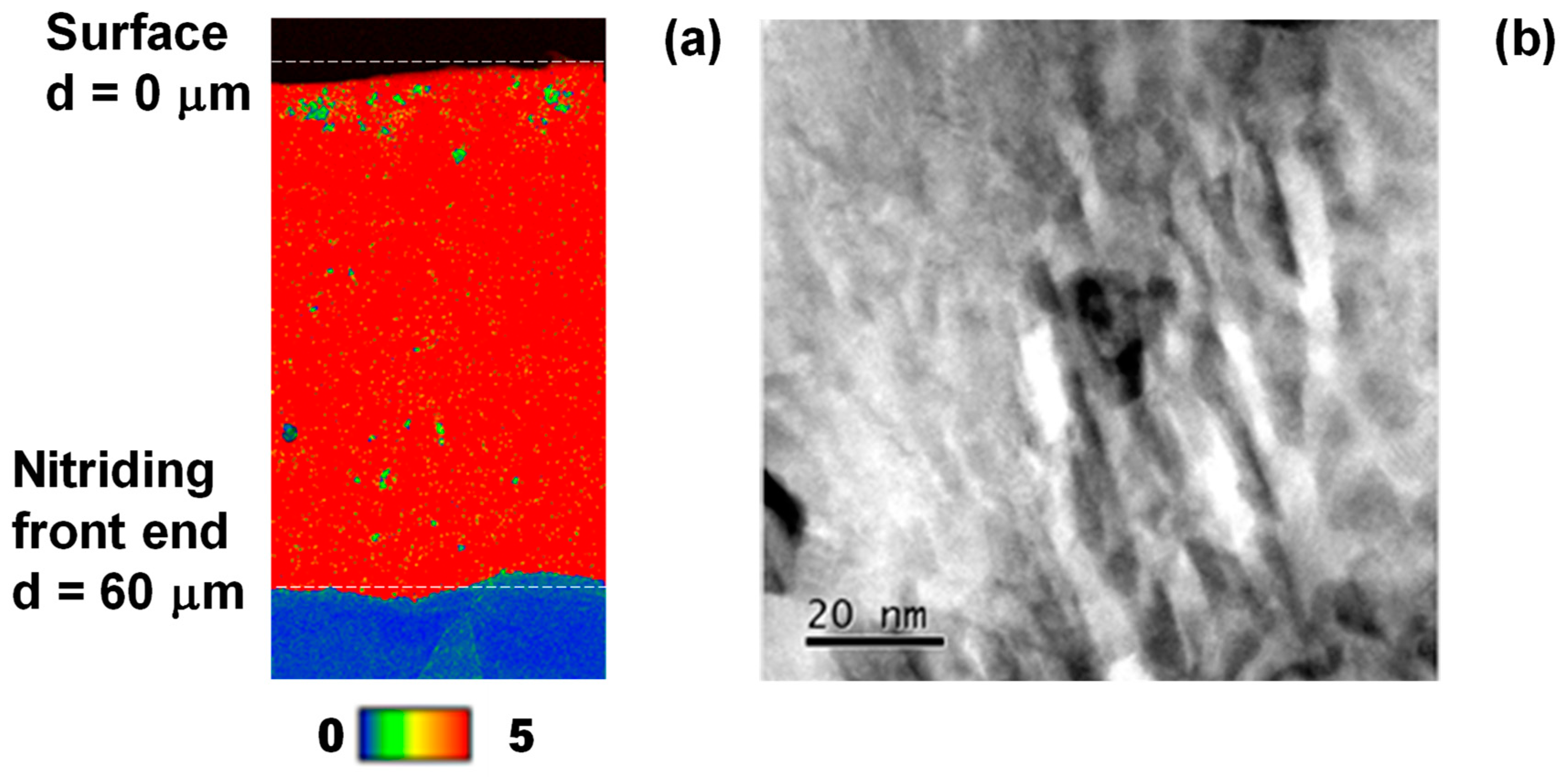 Nanomaterials 14 00363 g013