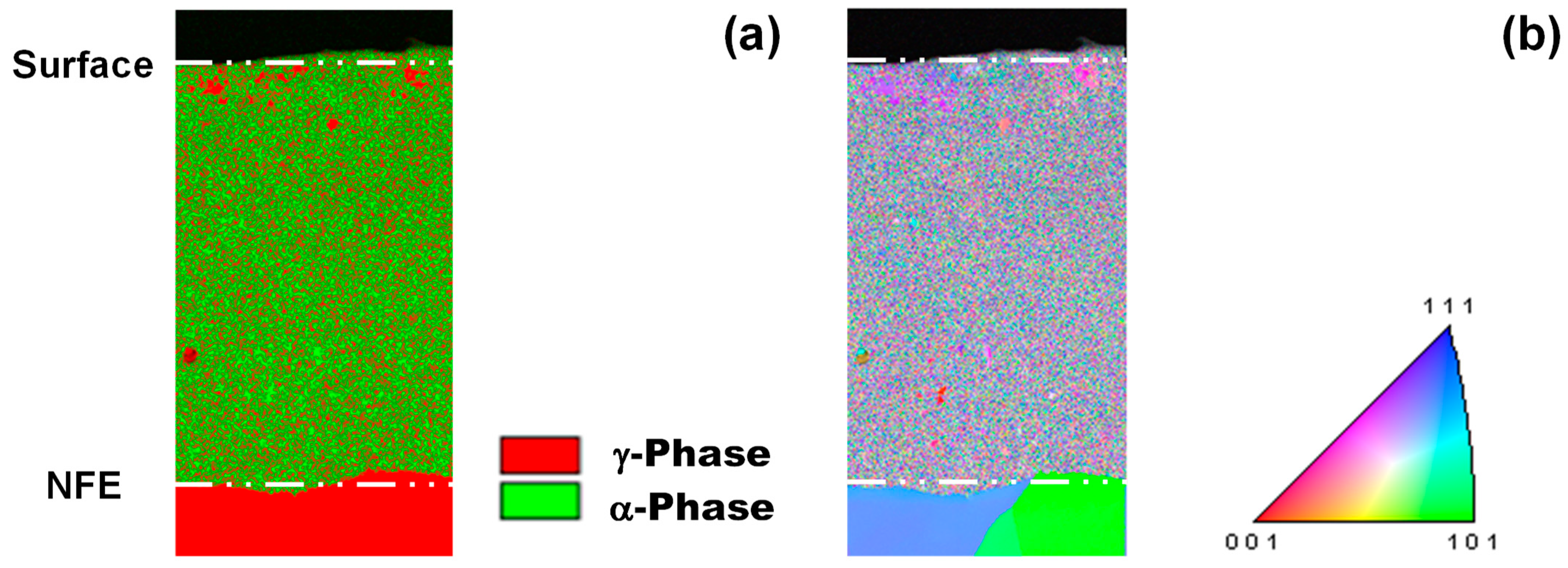 Nanomaterials 14 00363 g014