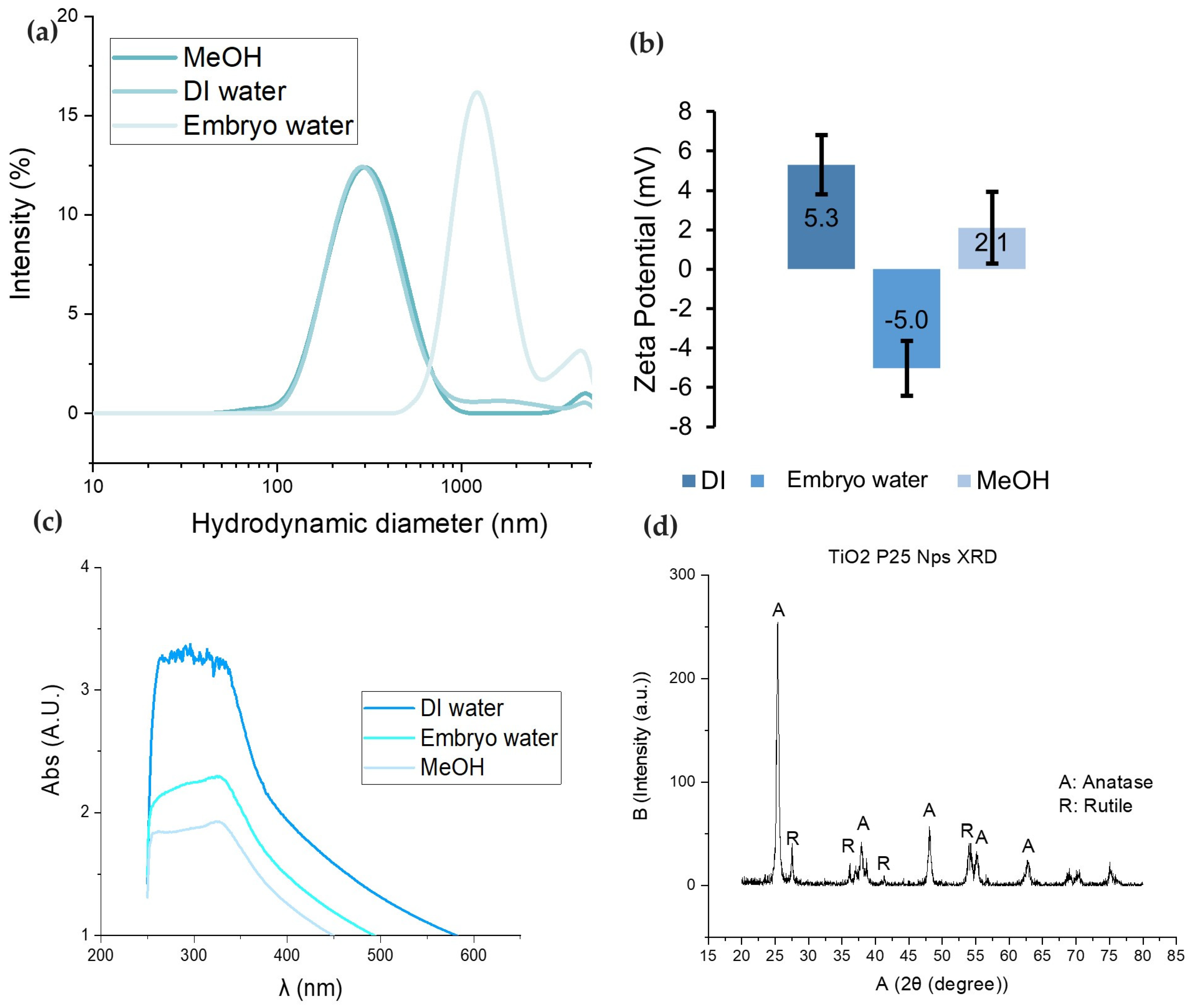Nanomaterials 14 00373 g001