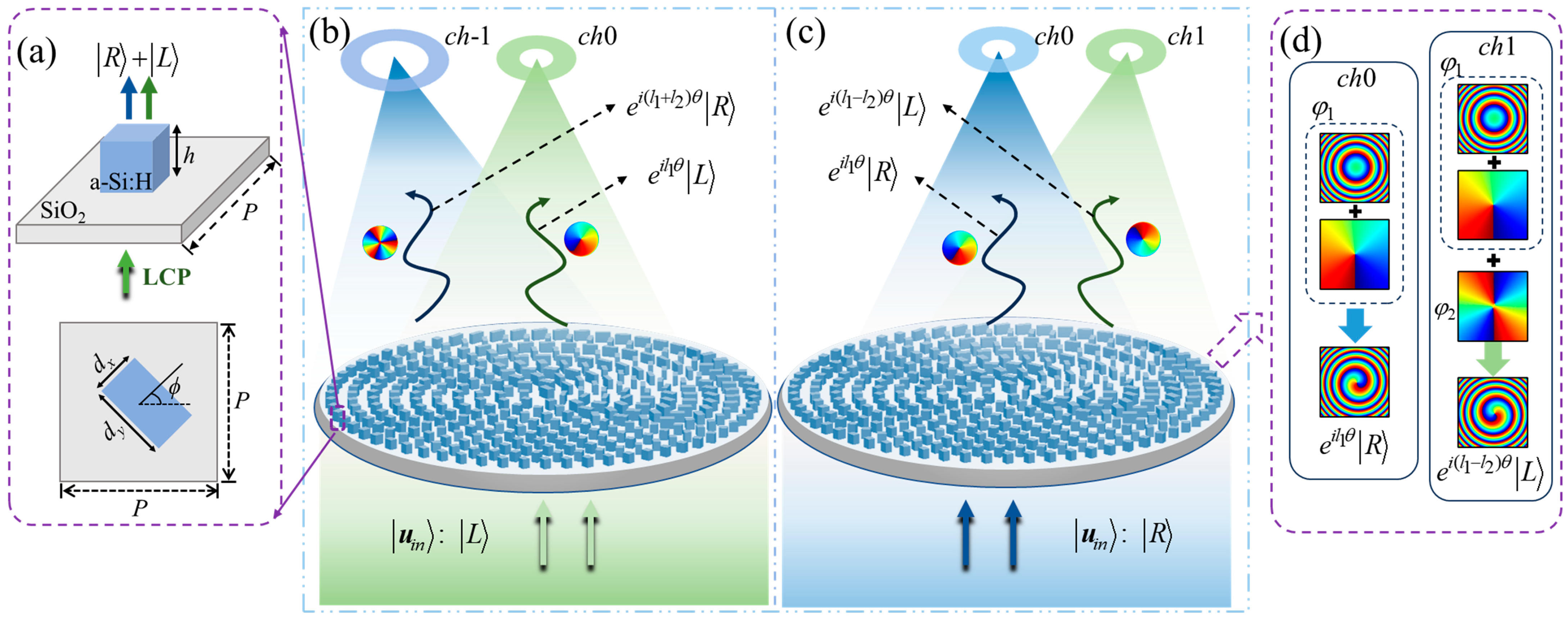 Nanomaterials 14 00374 g001