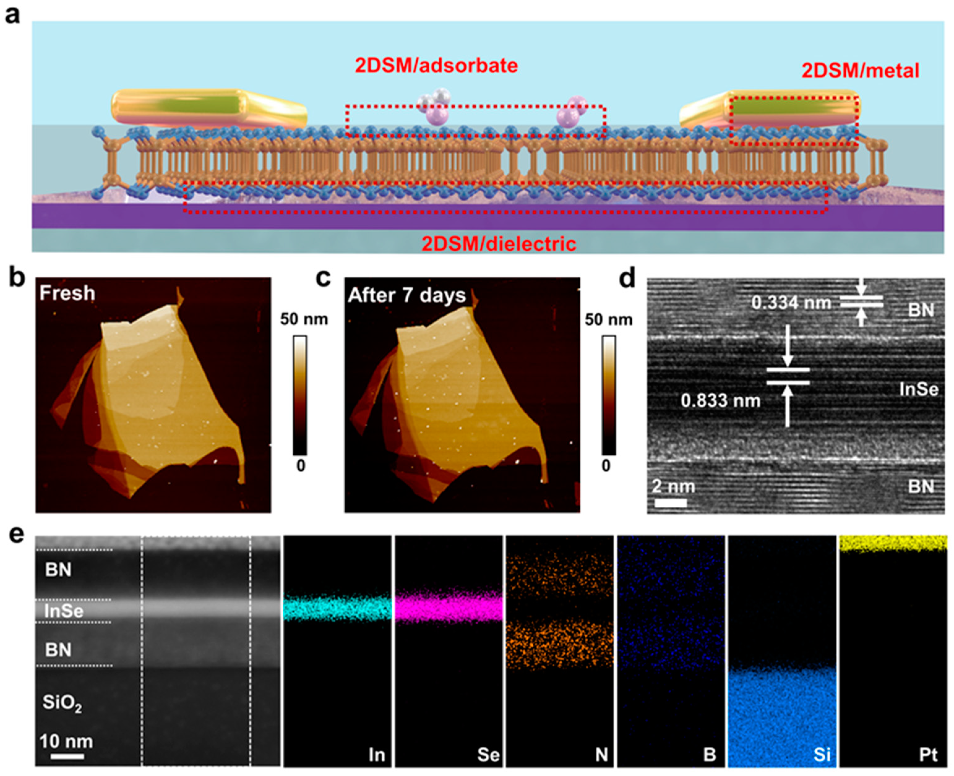 Nanomaterials 14 00382 g001