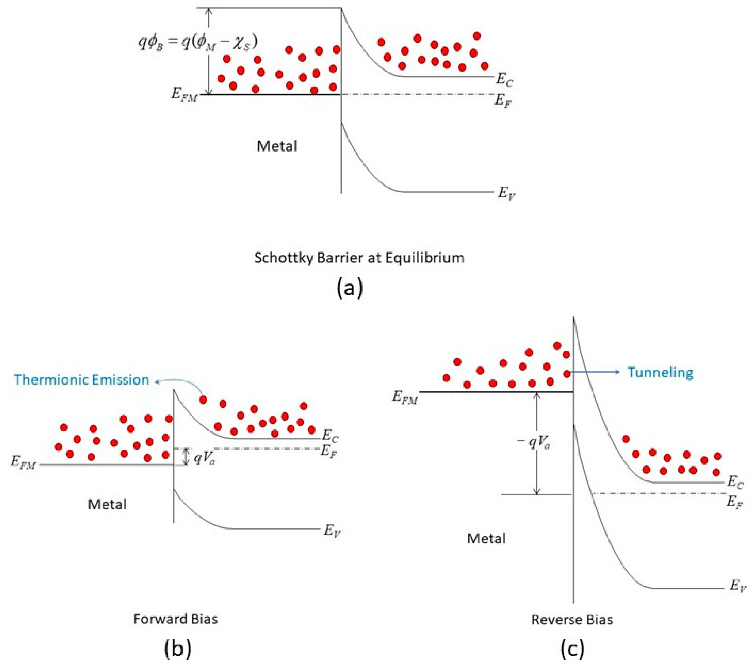 Nanomaterials 14 00386 g003