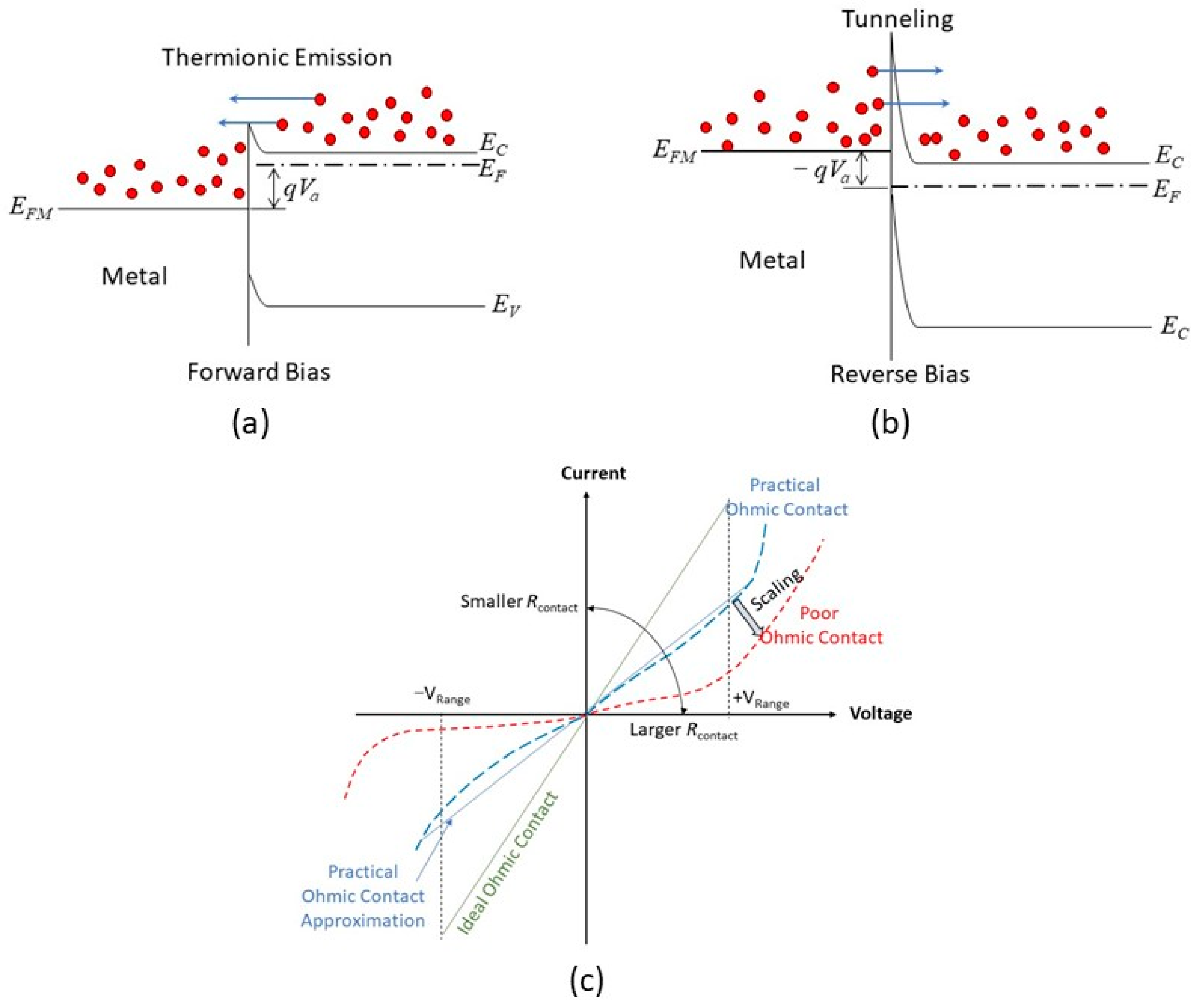 Nanomaterials 14 00386 g005