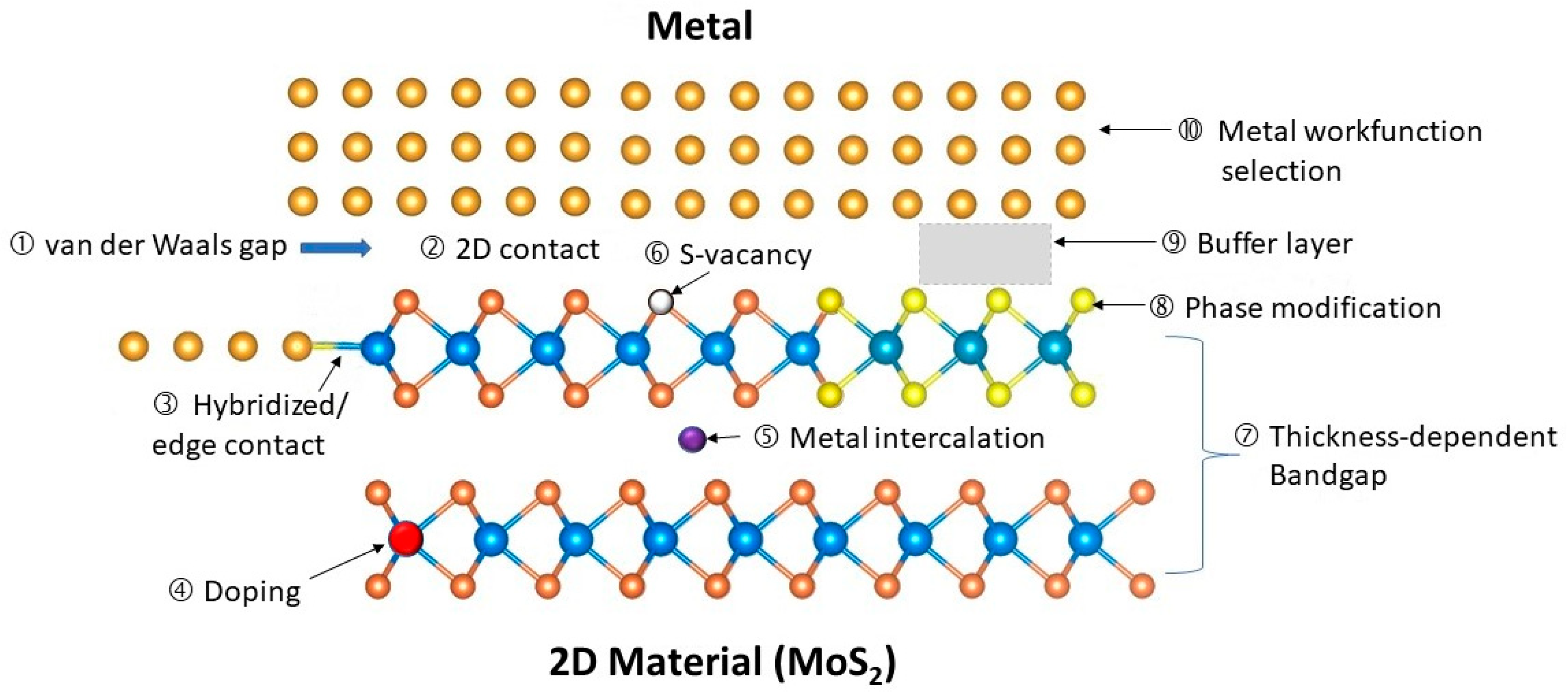 Nanomaterials 14 00386 g015