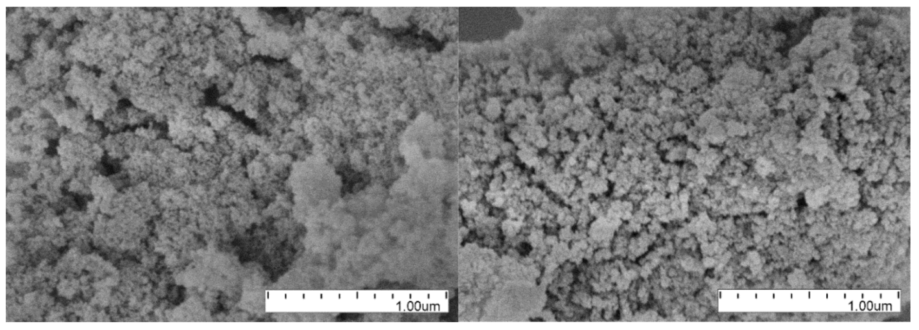 Nanomaterials 14 00387 g016 Nanomaterials 14 00387 g016