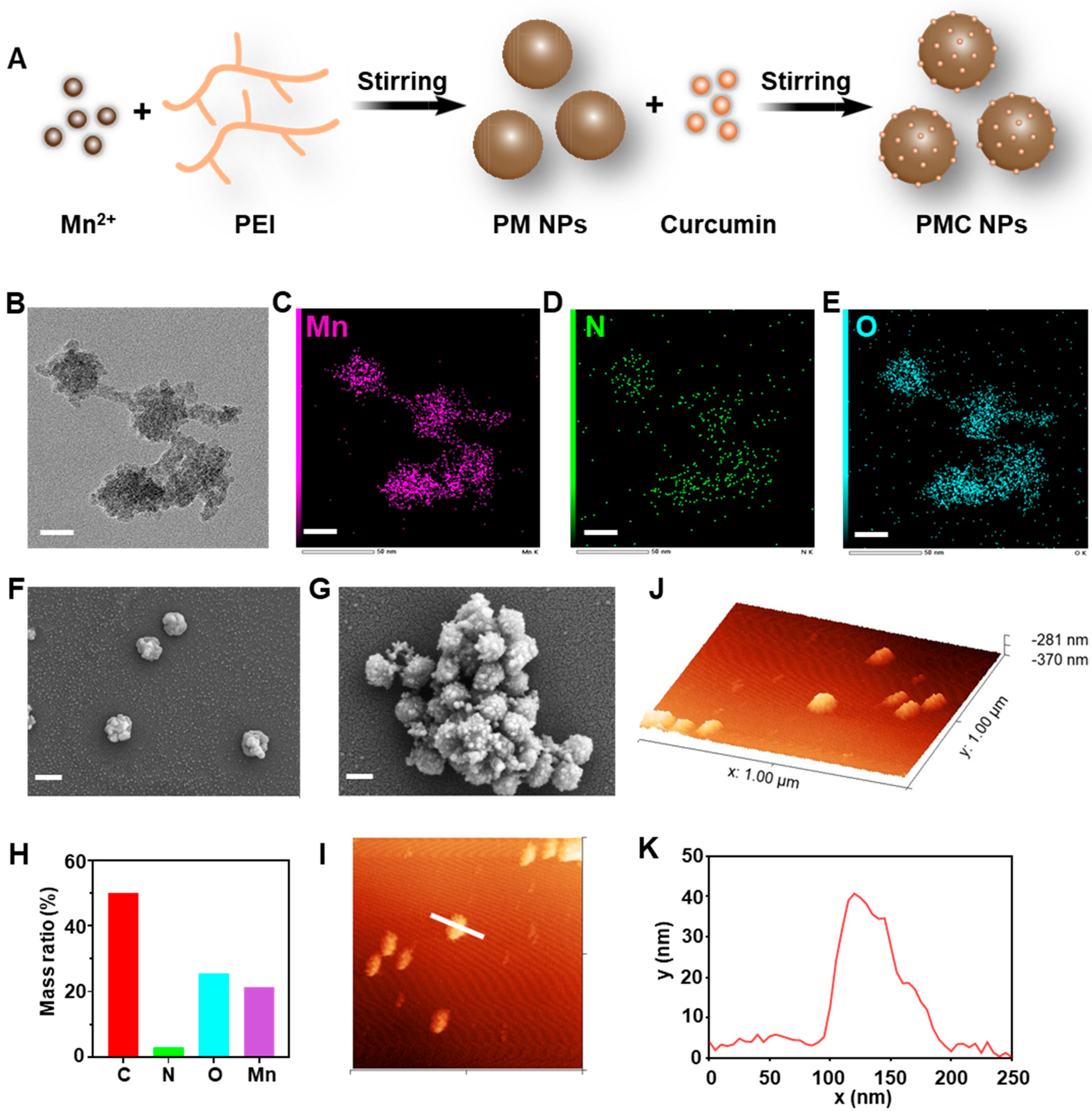 Nanomaterials 14 00389 g001 Nanomaterials 14 00389 g001
