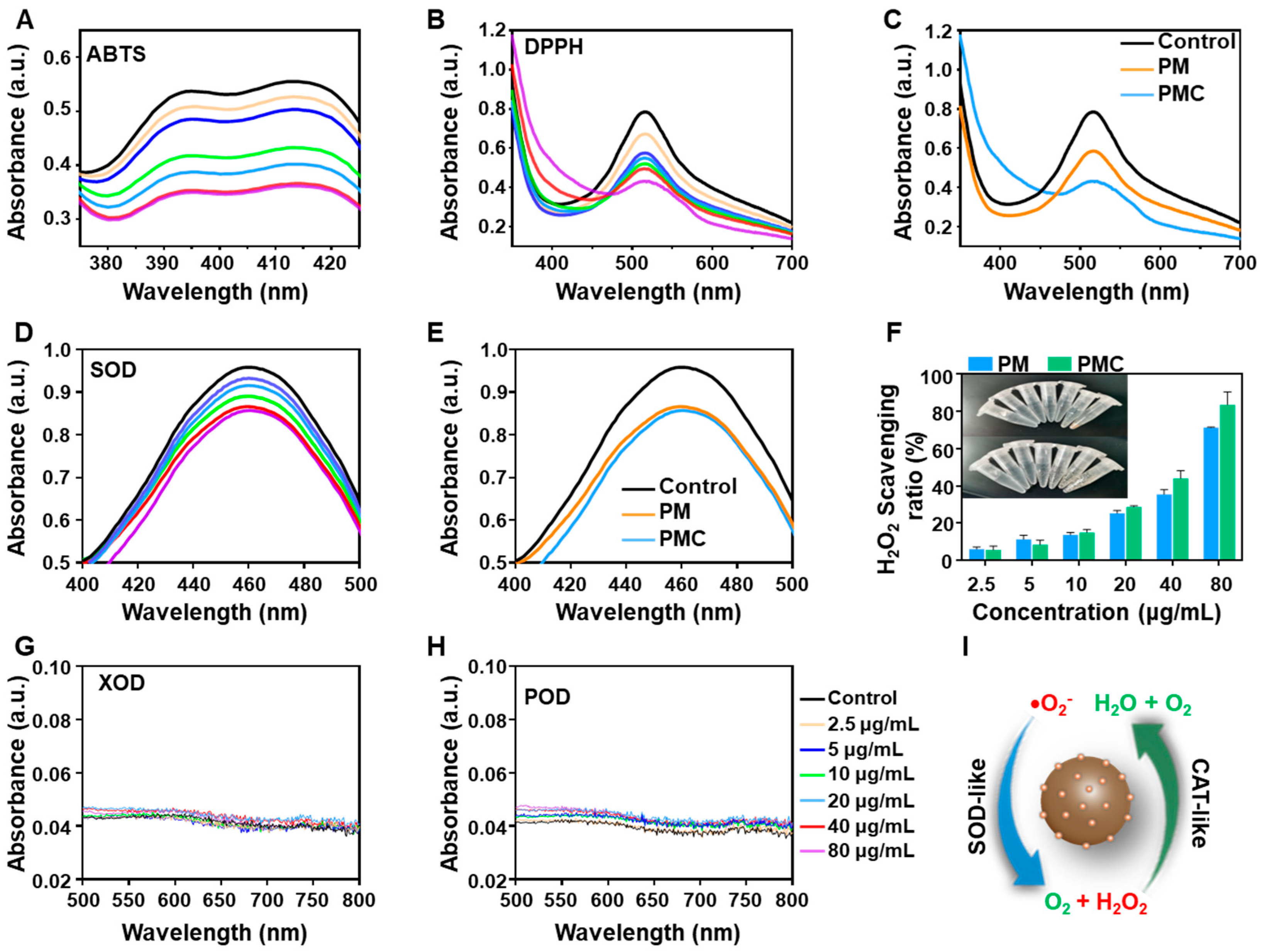 Nanomaterials 14 00389 g003 Nanomaterials 14 00389 g003