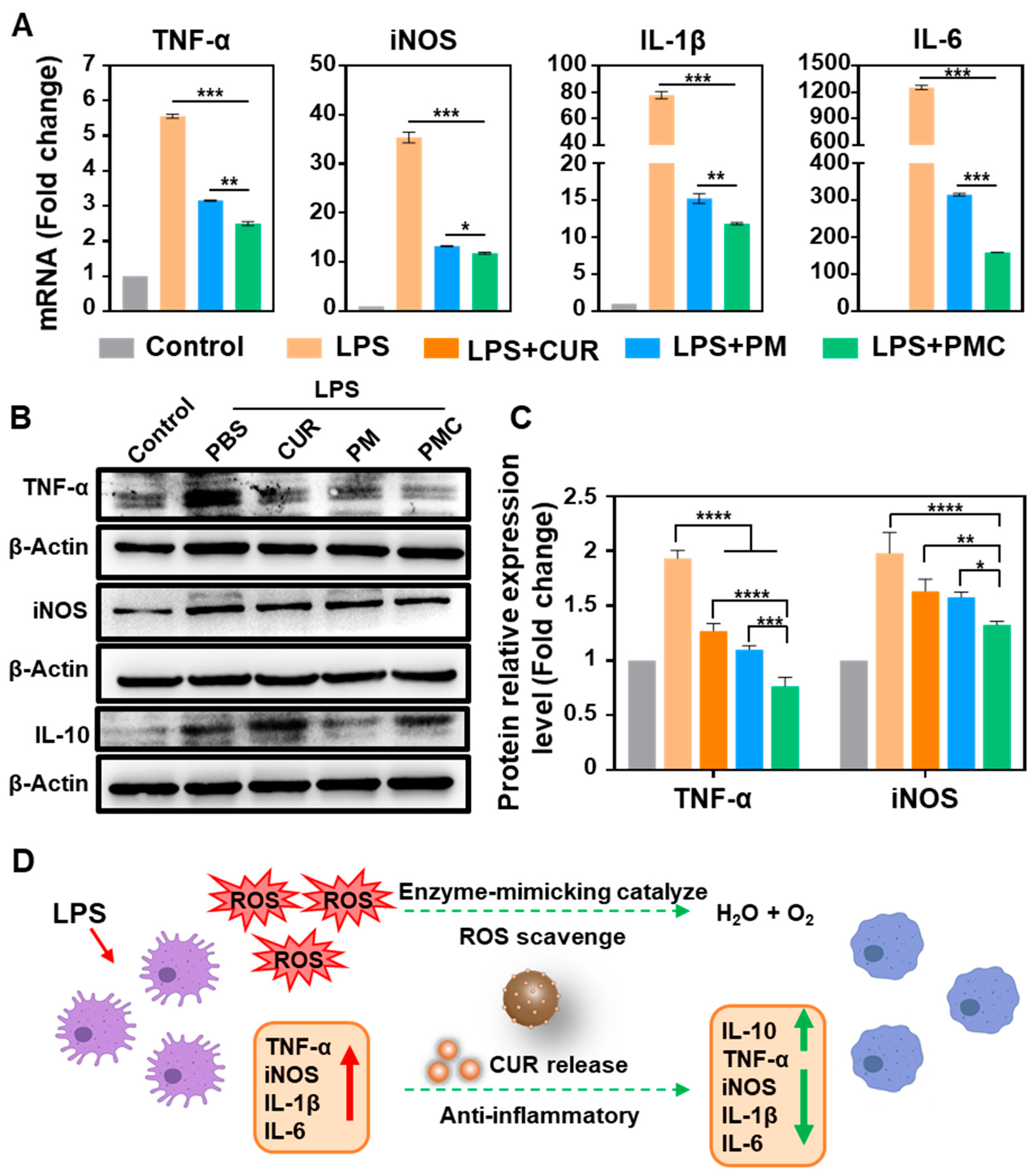 Nanomaterials 14 00389 g006 Nanomaterials 14 00389 g006