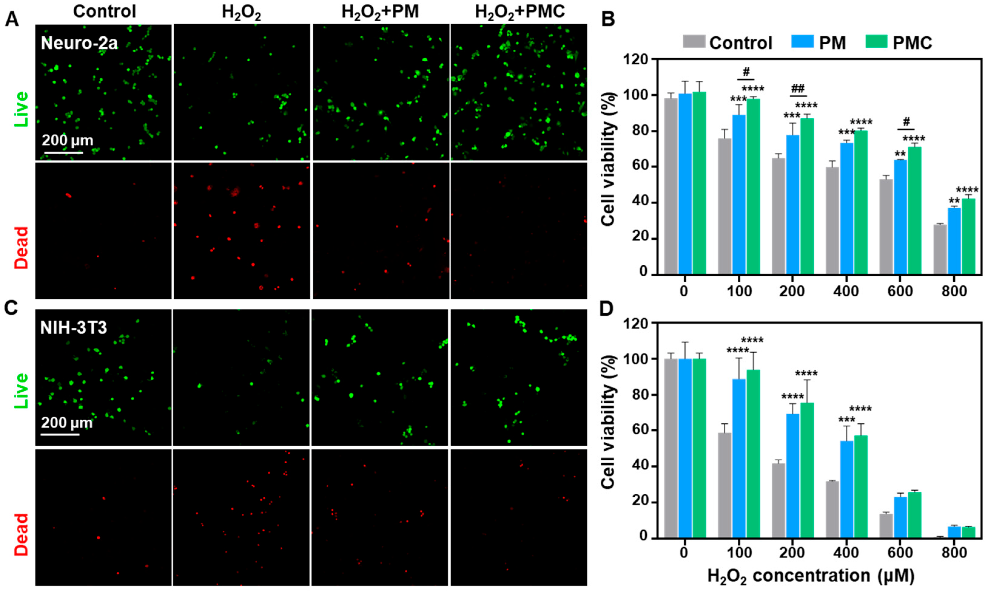 Nanomaterials 14 00389 g008 Nanomaterials 14 00389 g008