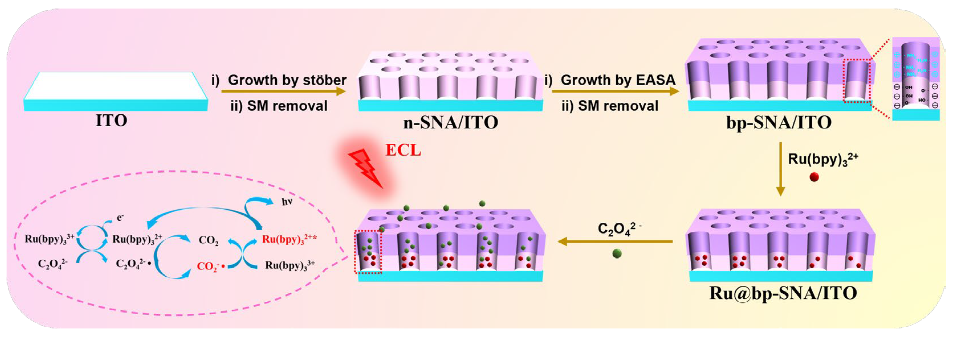 Nanomaterials 14 00390 g001