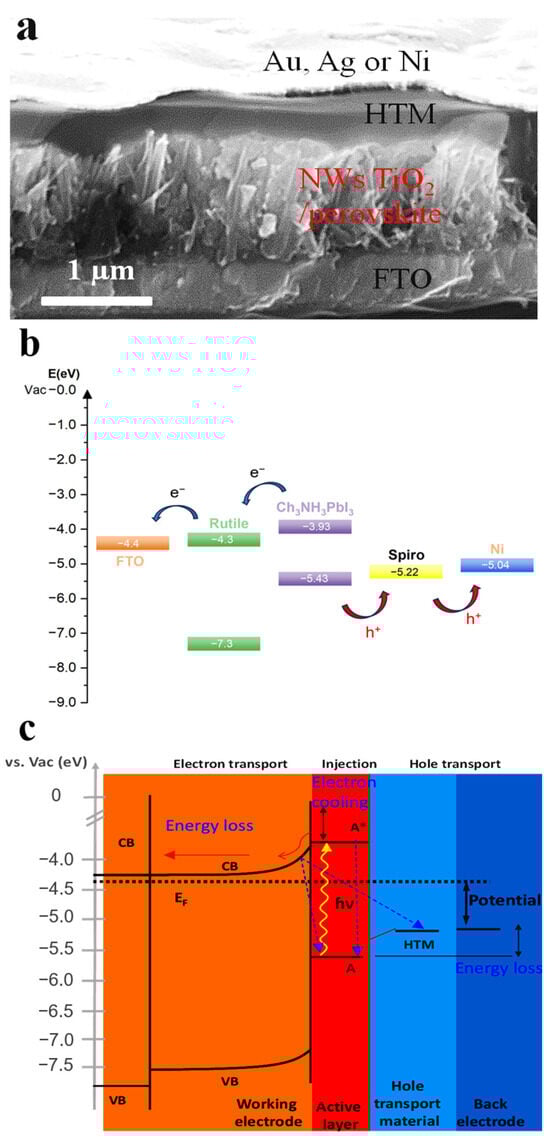 Nanomaterials 14 00391 g007