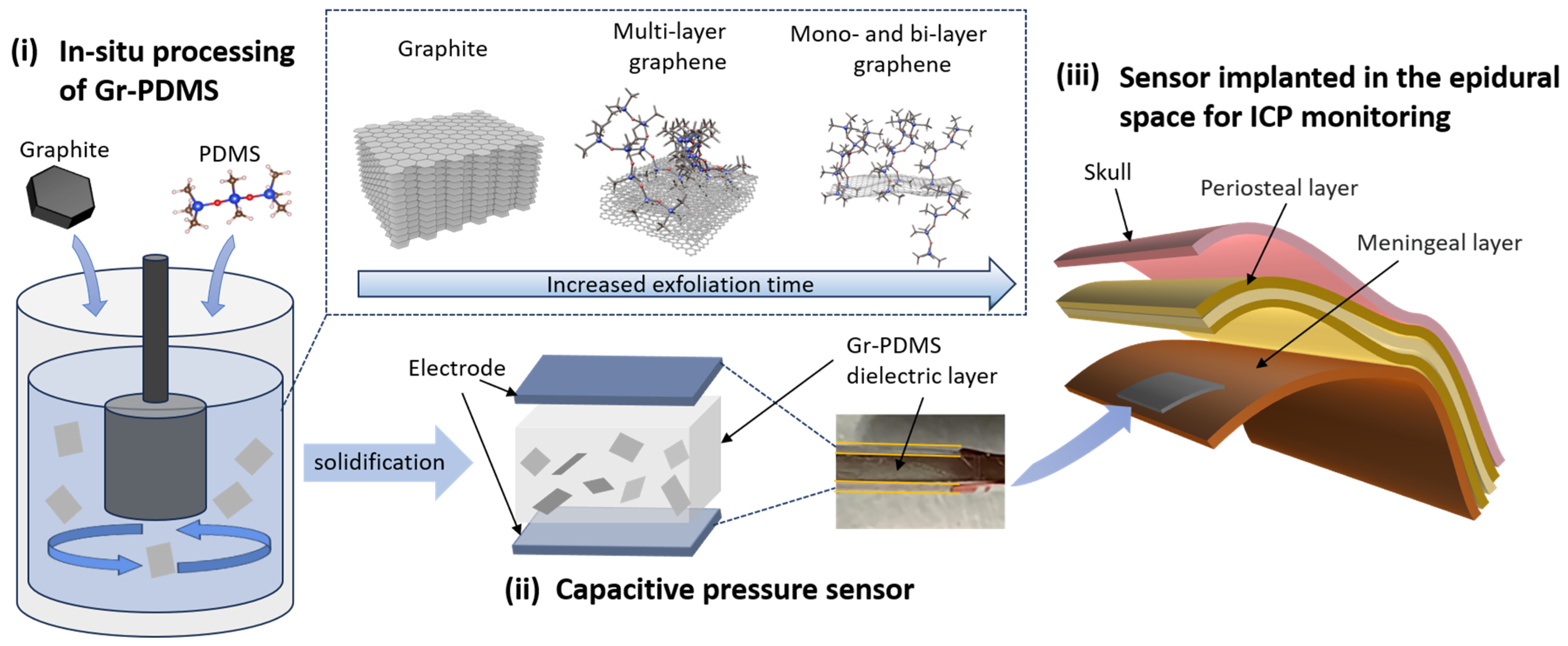 Nanomaterials 14 00399 g001