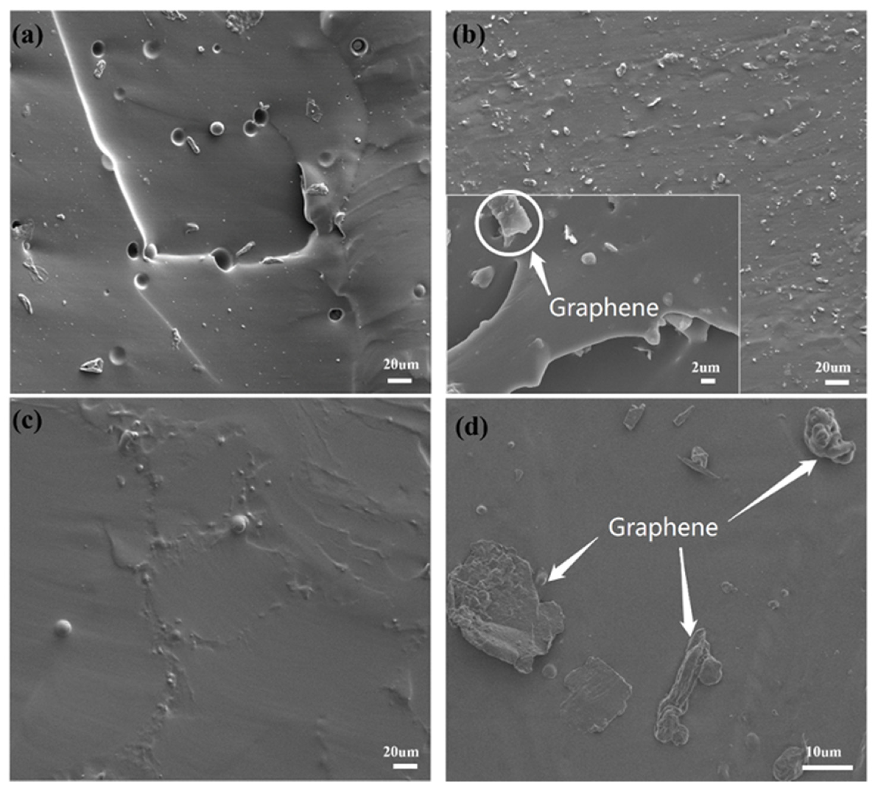 Nanomaterials 14 00399 g003