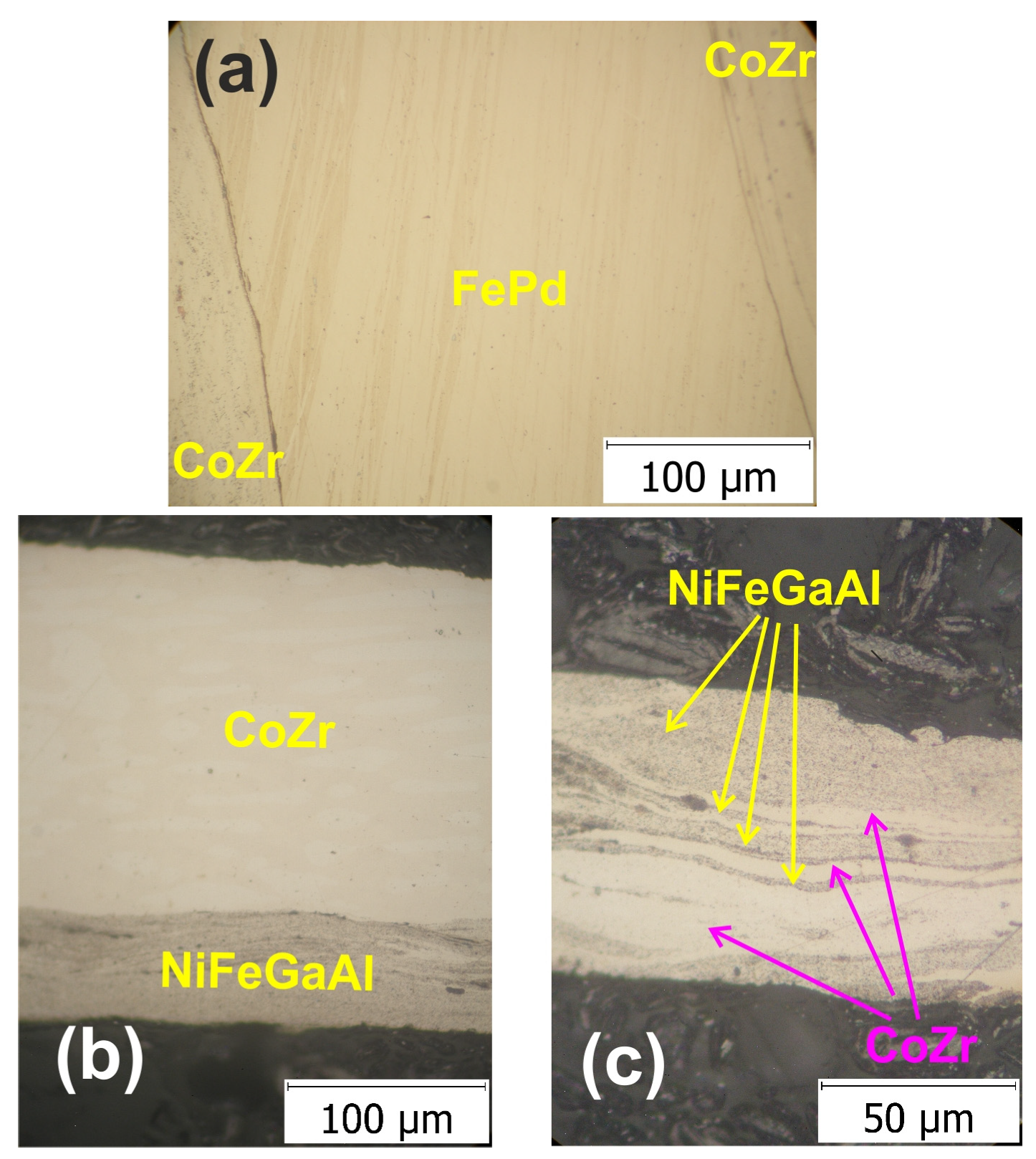 Nanomaterials 14 00405 g002
