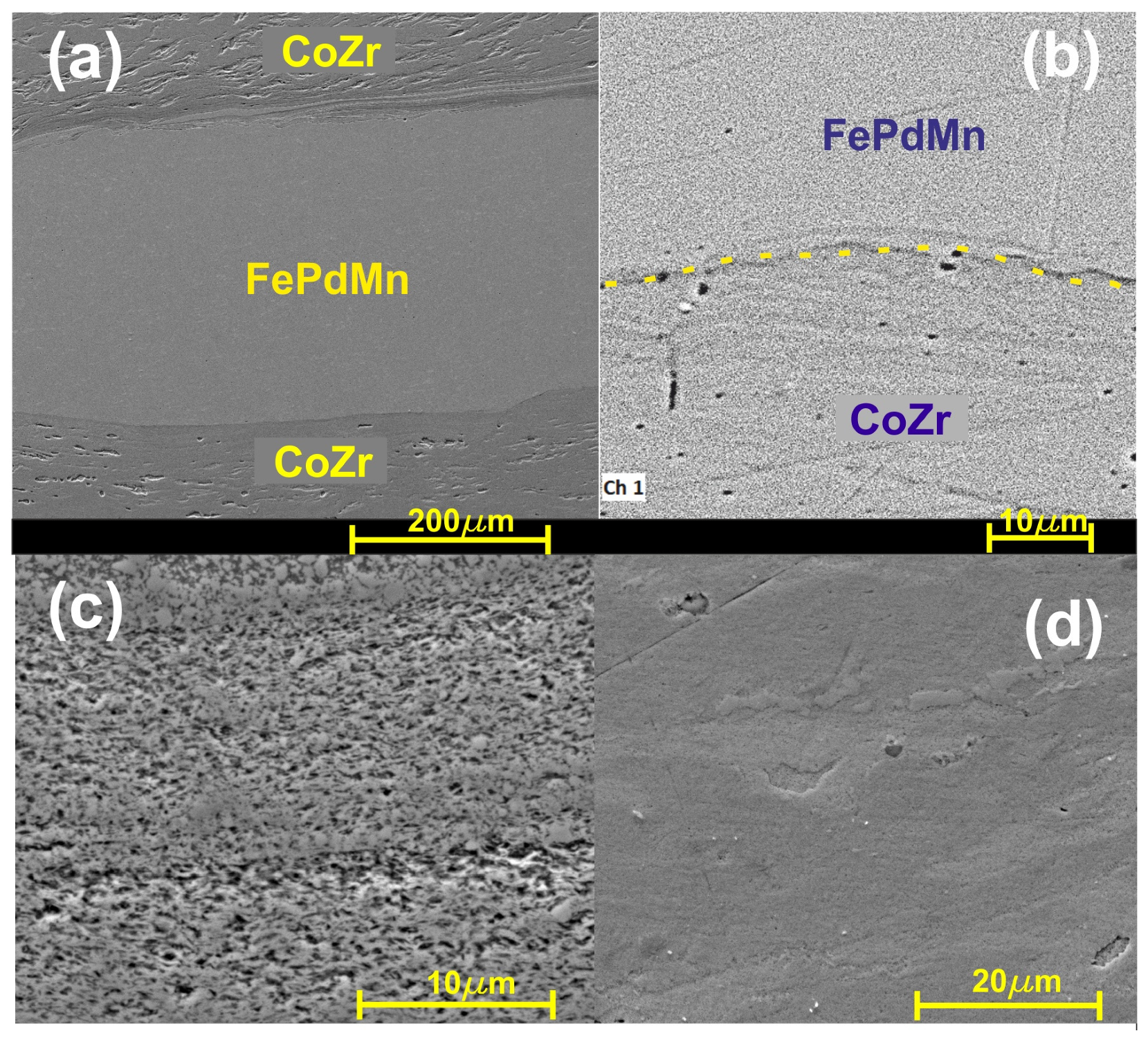 Nanomaterials 14 00405 g003